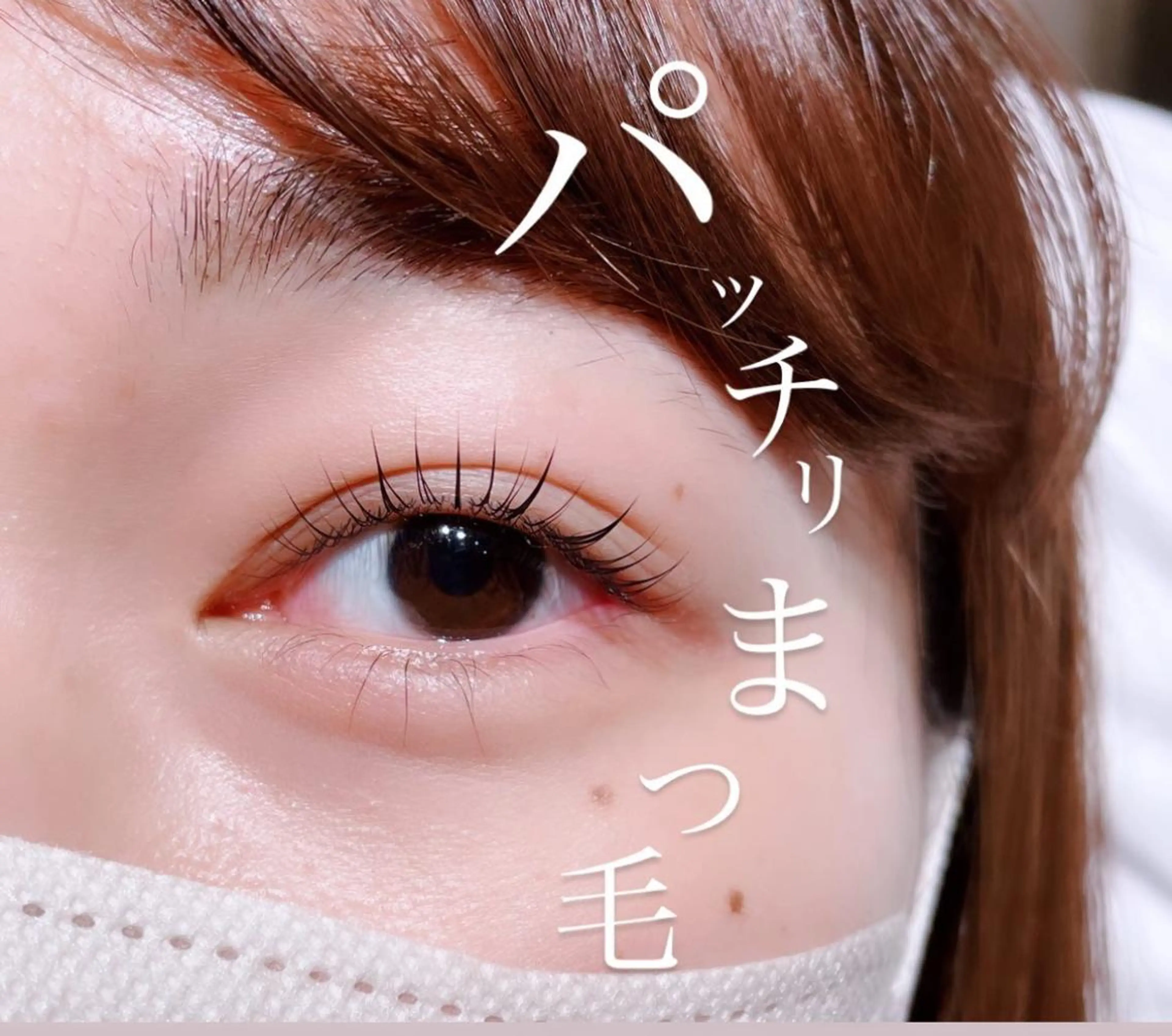 マツエク・マツパ 束感まつ毛 フラットラッシュ 韓国風マツエク まつげパーマ マツパ Biolus／天王寺 本店 🔸YUI🔸のマツエク・マツパデザイン