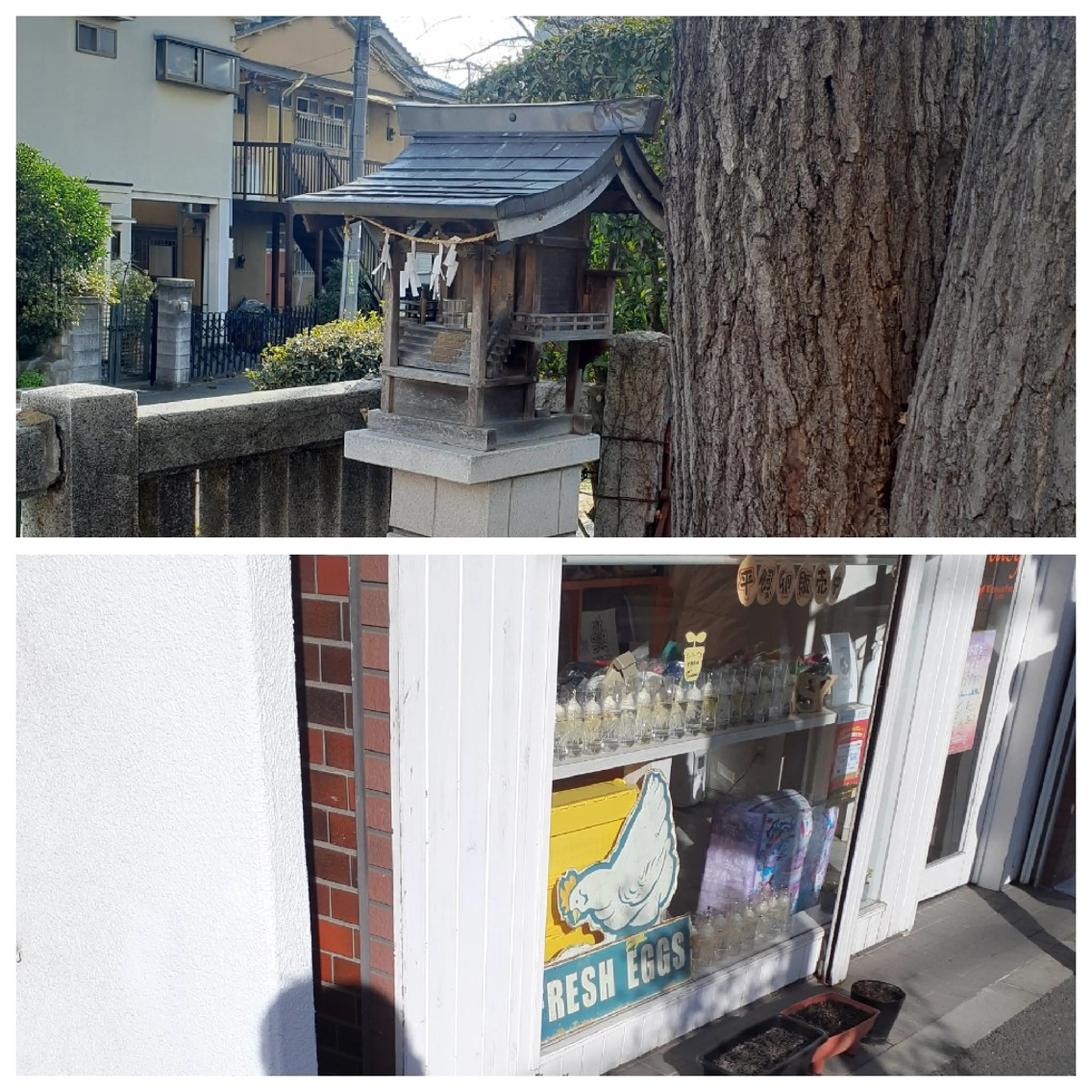 千の樹所属・久保 美咲(女性専用)のエステ・リラクイメージ