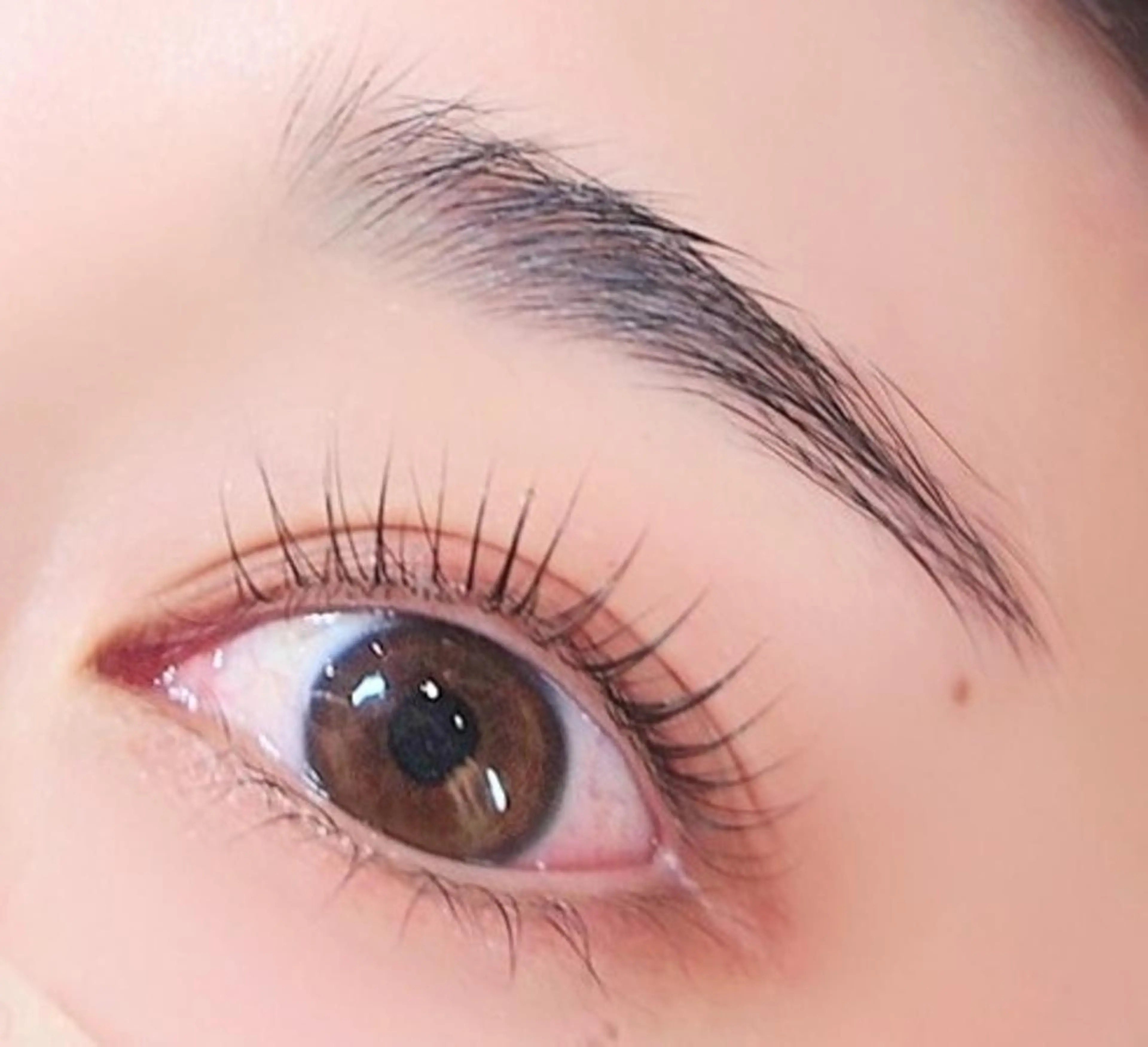 メンズ マツエク・マツパ メンズパーマ ナチュラル パリジェンヌラッシュリフト NAZ eyelash&eyebrow by medical salon所属・NAZ 表参道 Tomokoのマツエク・マツパデザイン