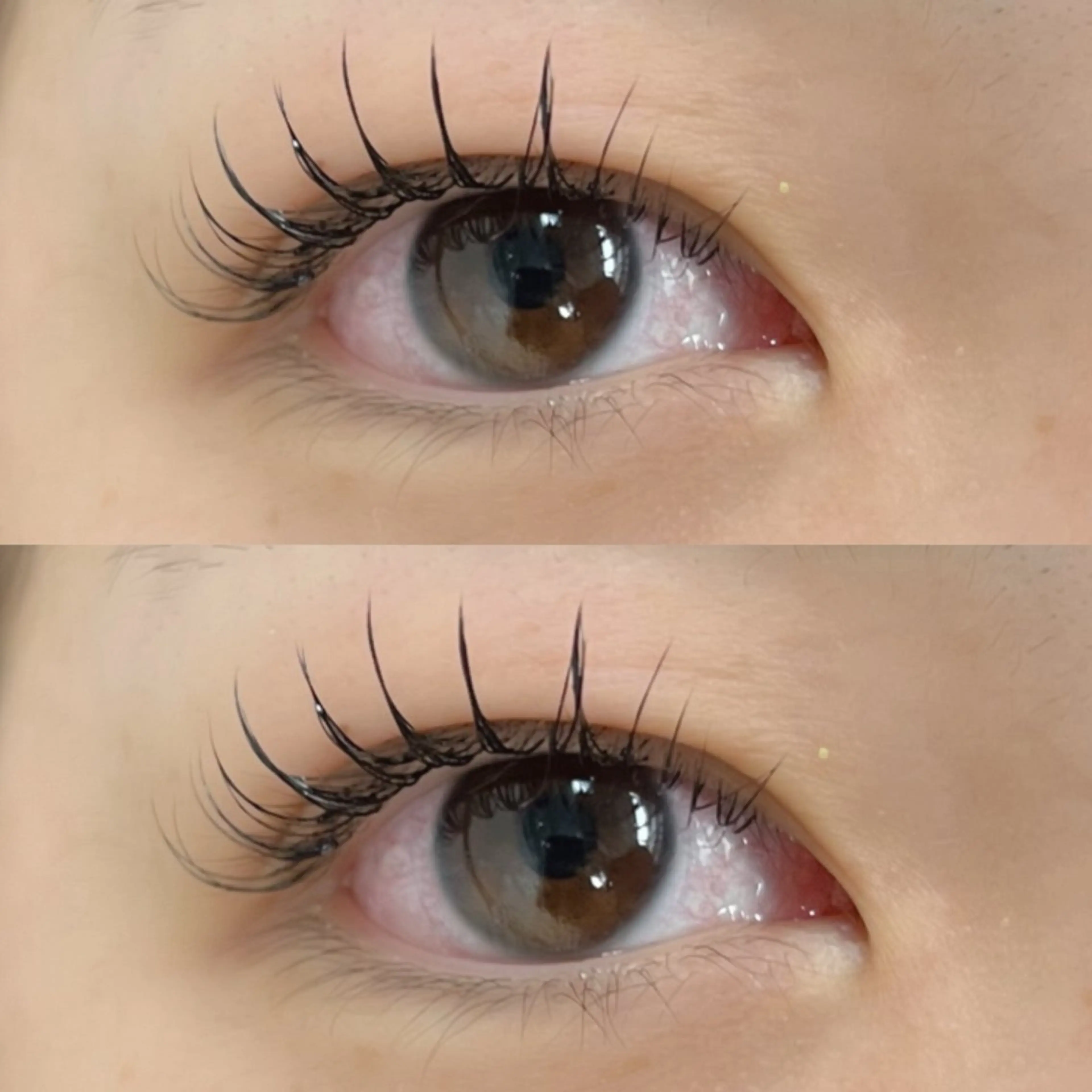 マツエク・マツパ キュート フラットラッシュ マツエク Moe/韓国風/ 束感/キュート❤︎のマツエク・マツパデザイン