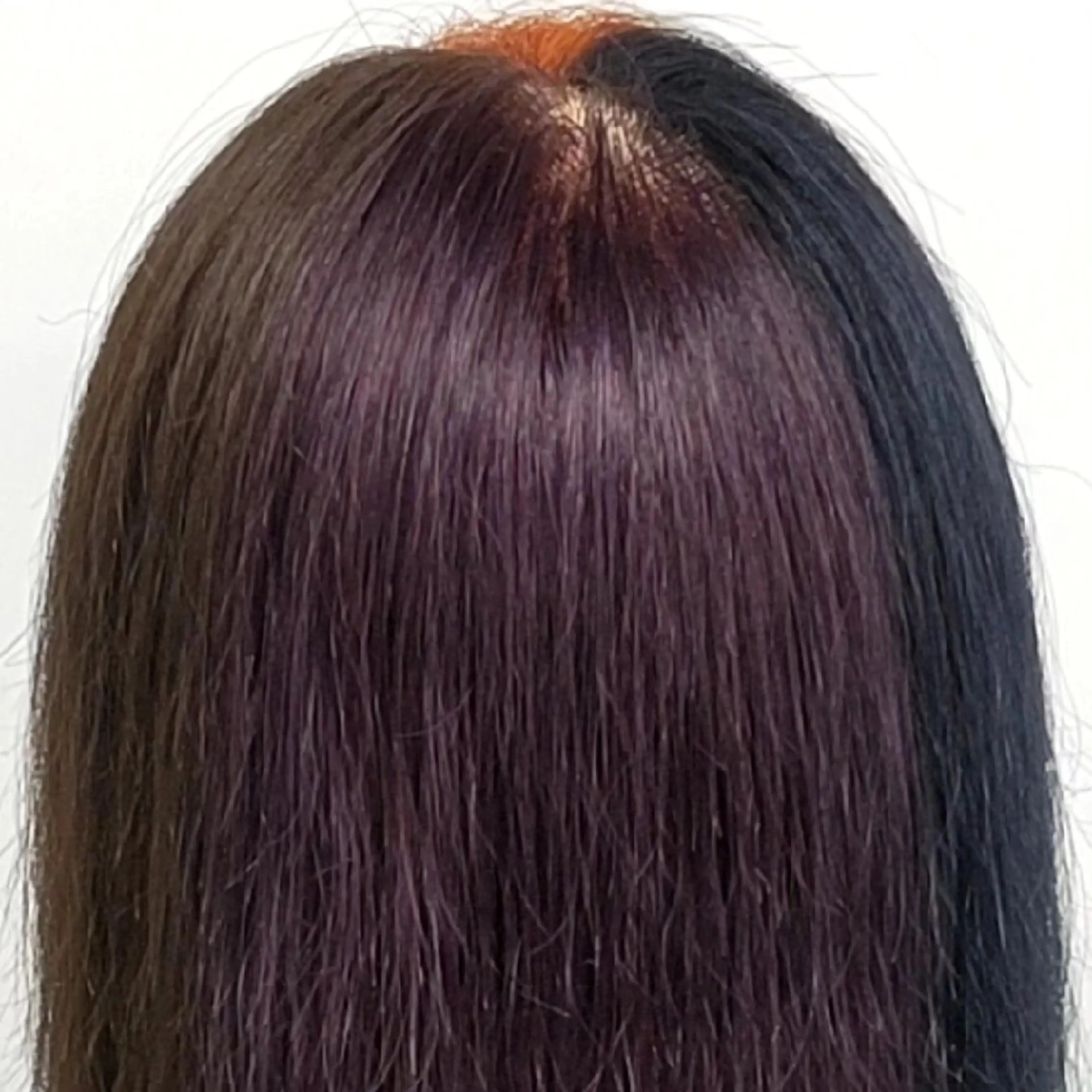 セミロング カラー パープルカラー もり はなののヘアスタイル