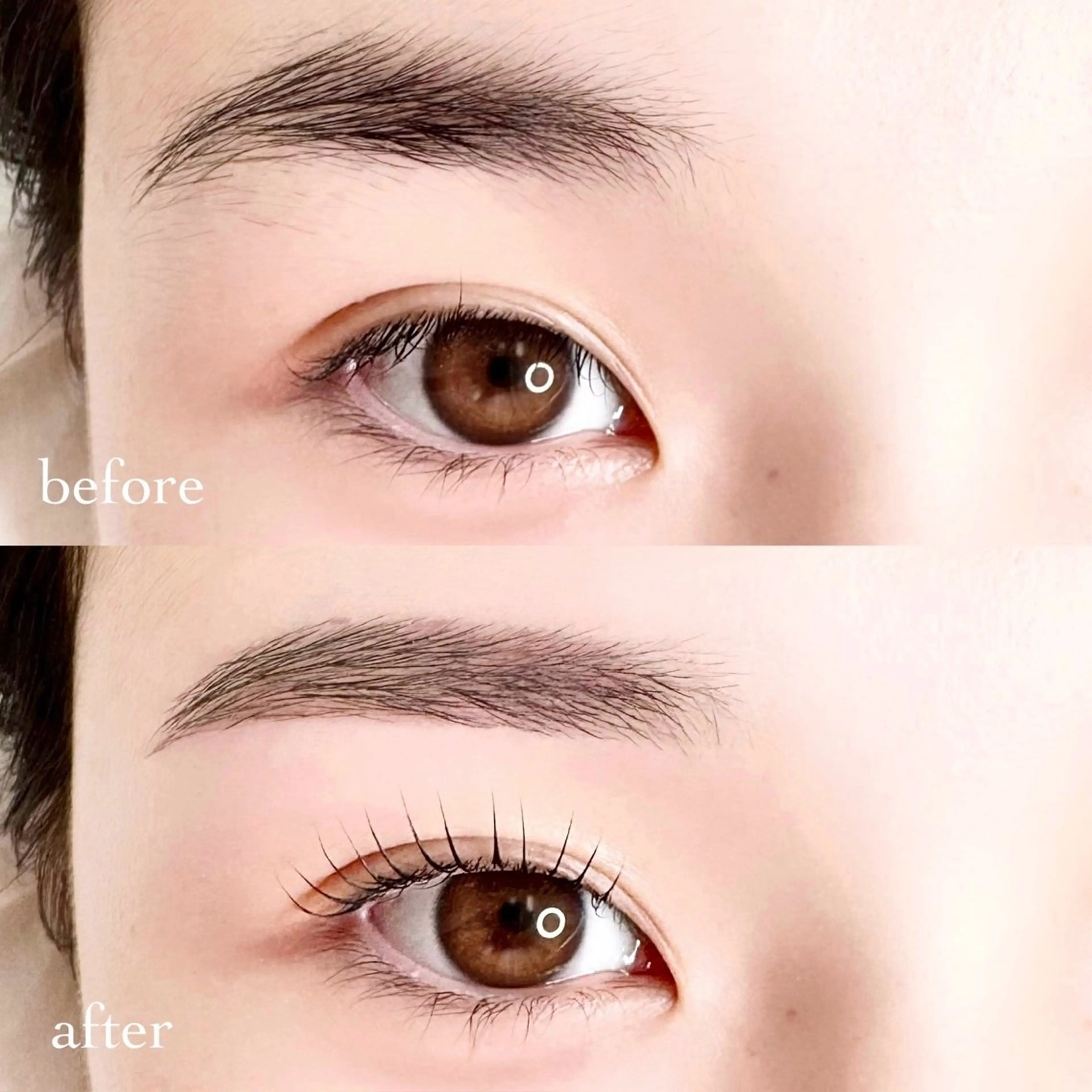 1/6限定🖤ラッシュリフト×アイブロウwaxの写真