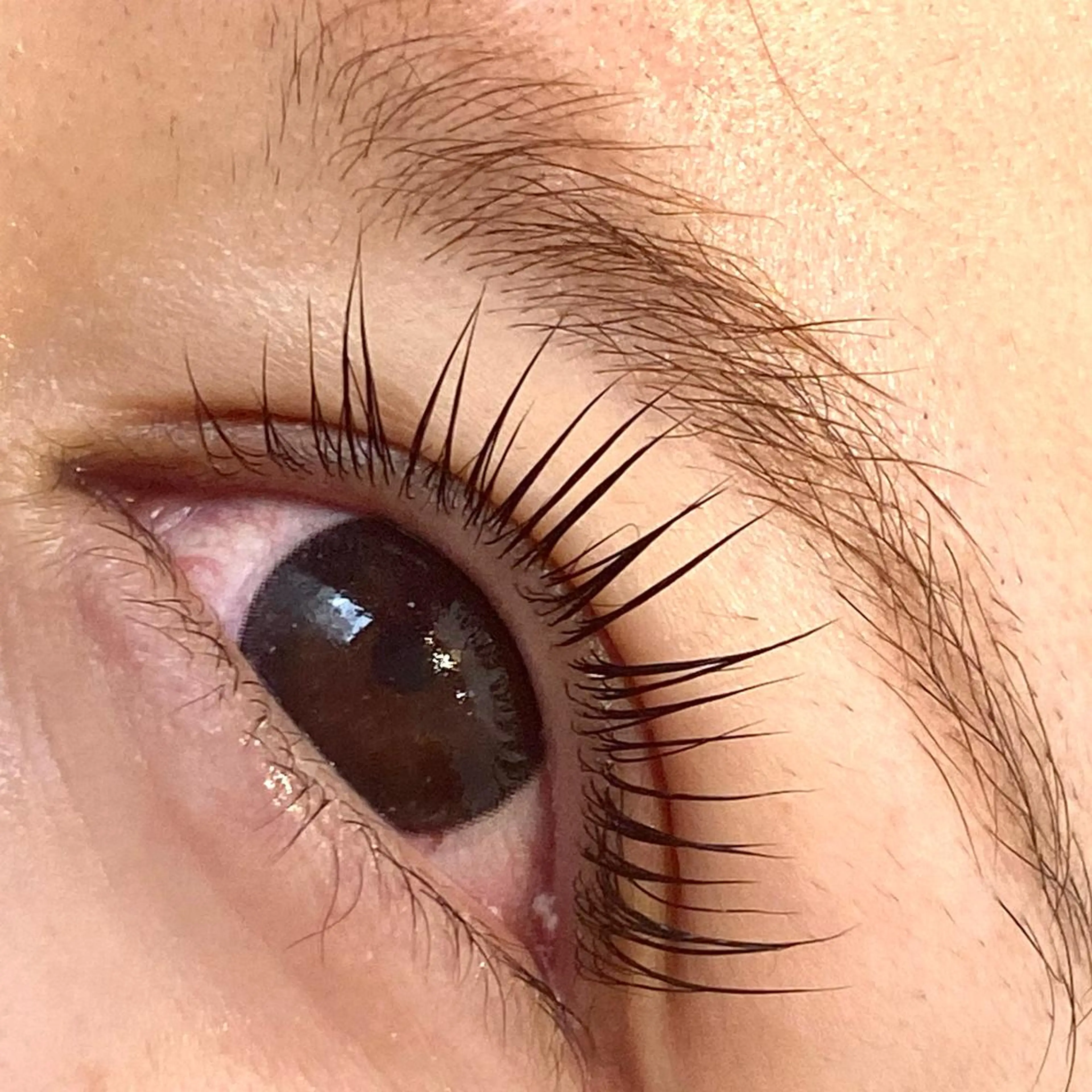 マツエク・マツパ chatran ishimochiのマツエク・マツパデザイン