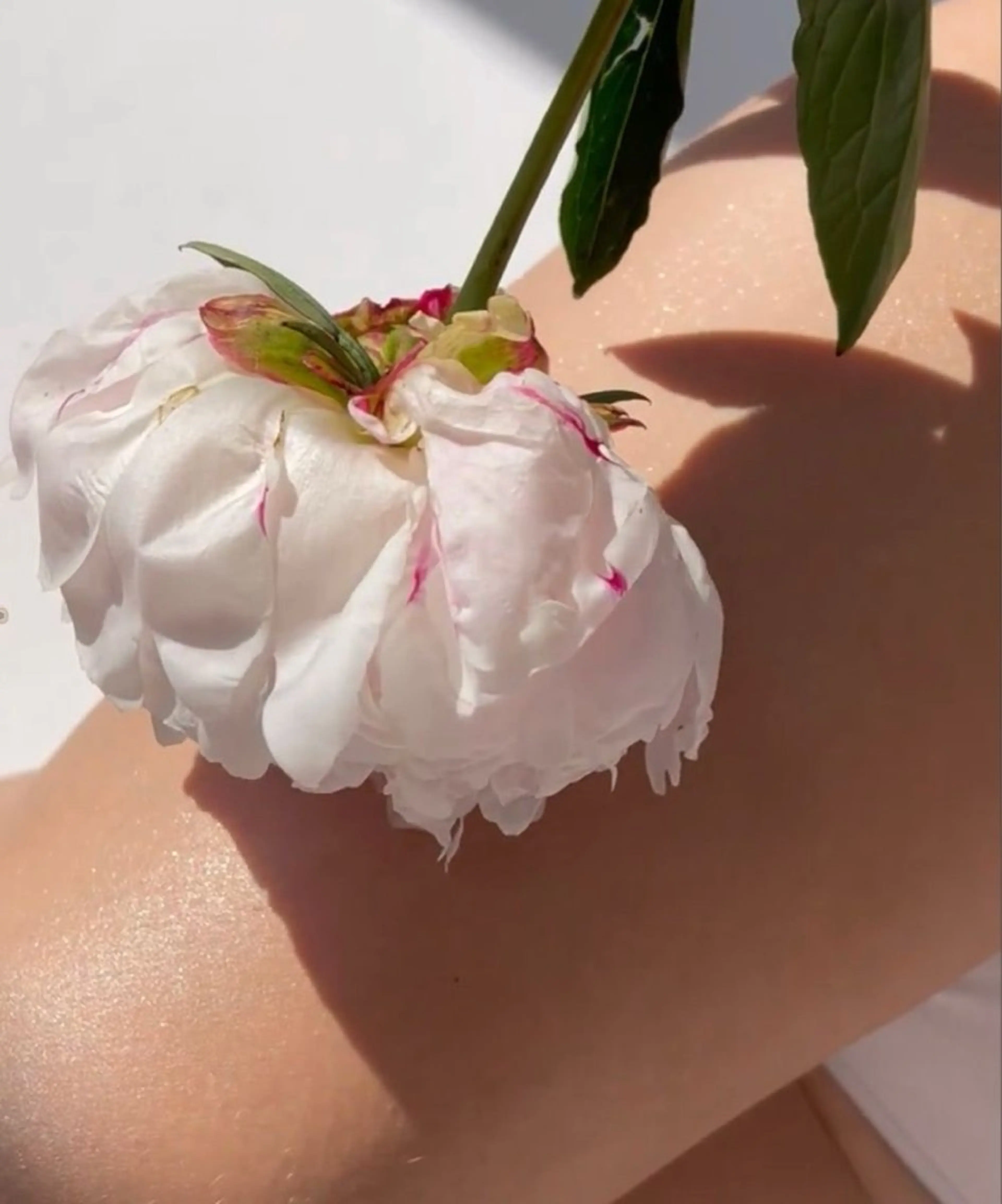 眠りの森 難波店 RUIKAのエステ・リラクイメージ