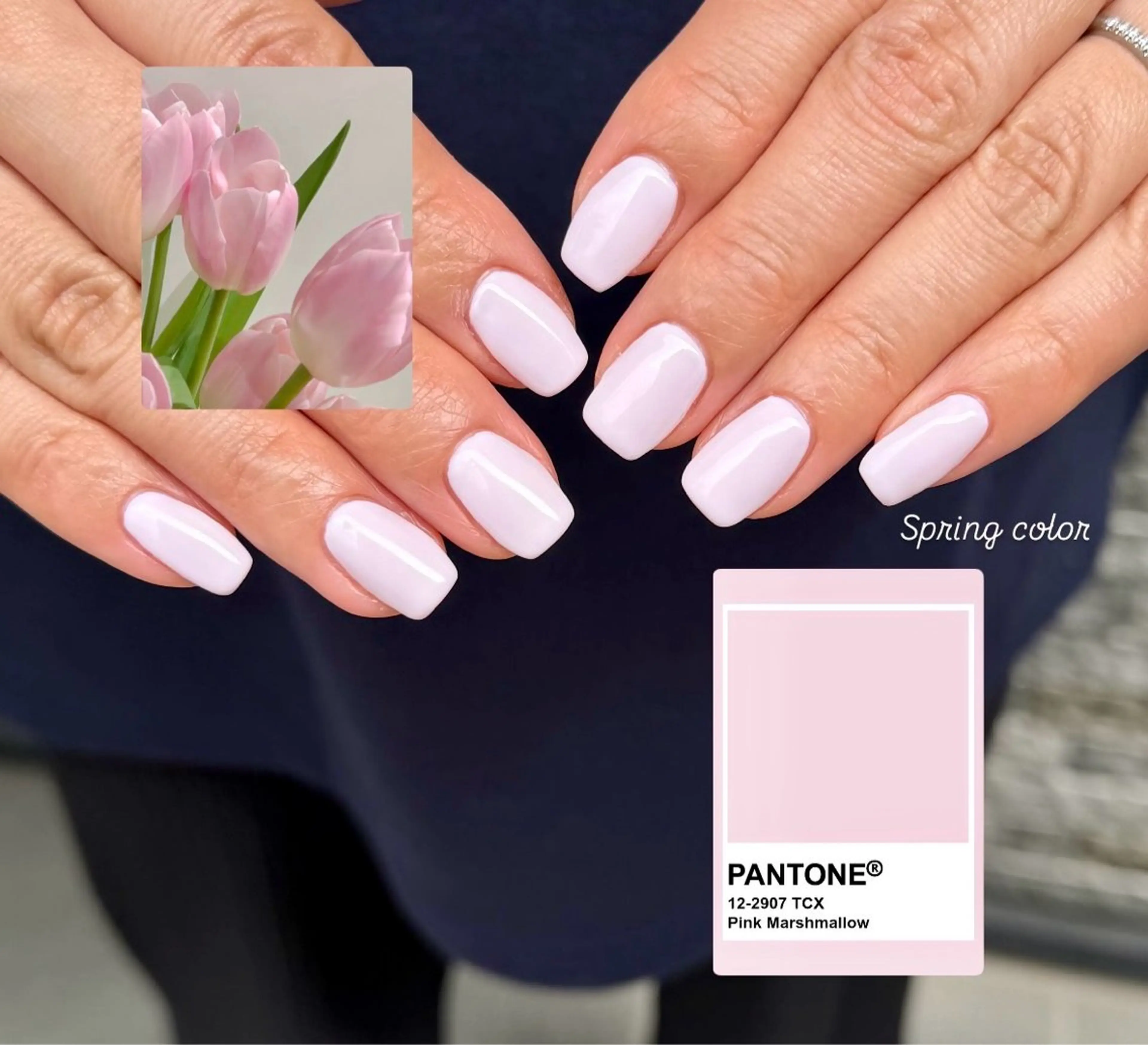 ネイル ワンカラーネイル ハンドネイル HazeGrass NAILのネイルデザイン