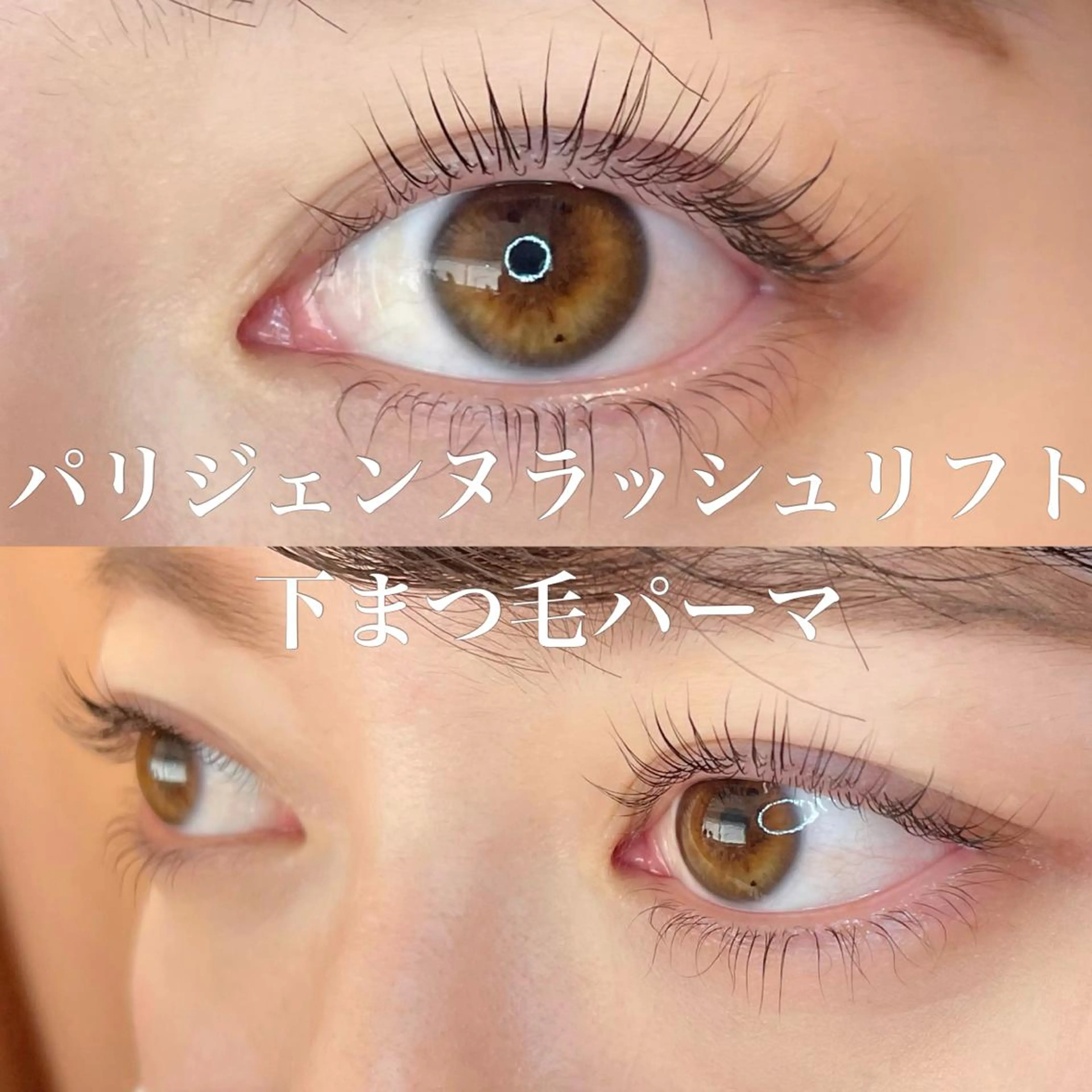 マツエク・マツパ パリジェンヌラッシュリフト 下まつげエクステ 一重×まつ毛パーマ eight eyelash池袋店のマツエク・マツパデザイン