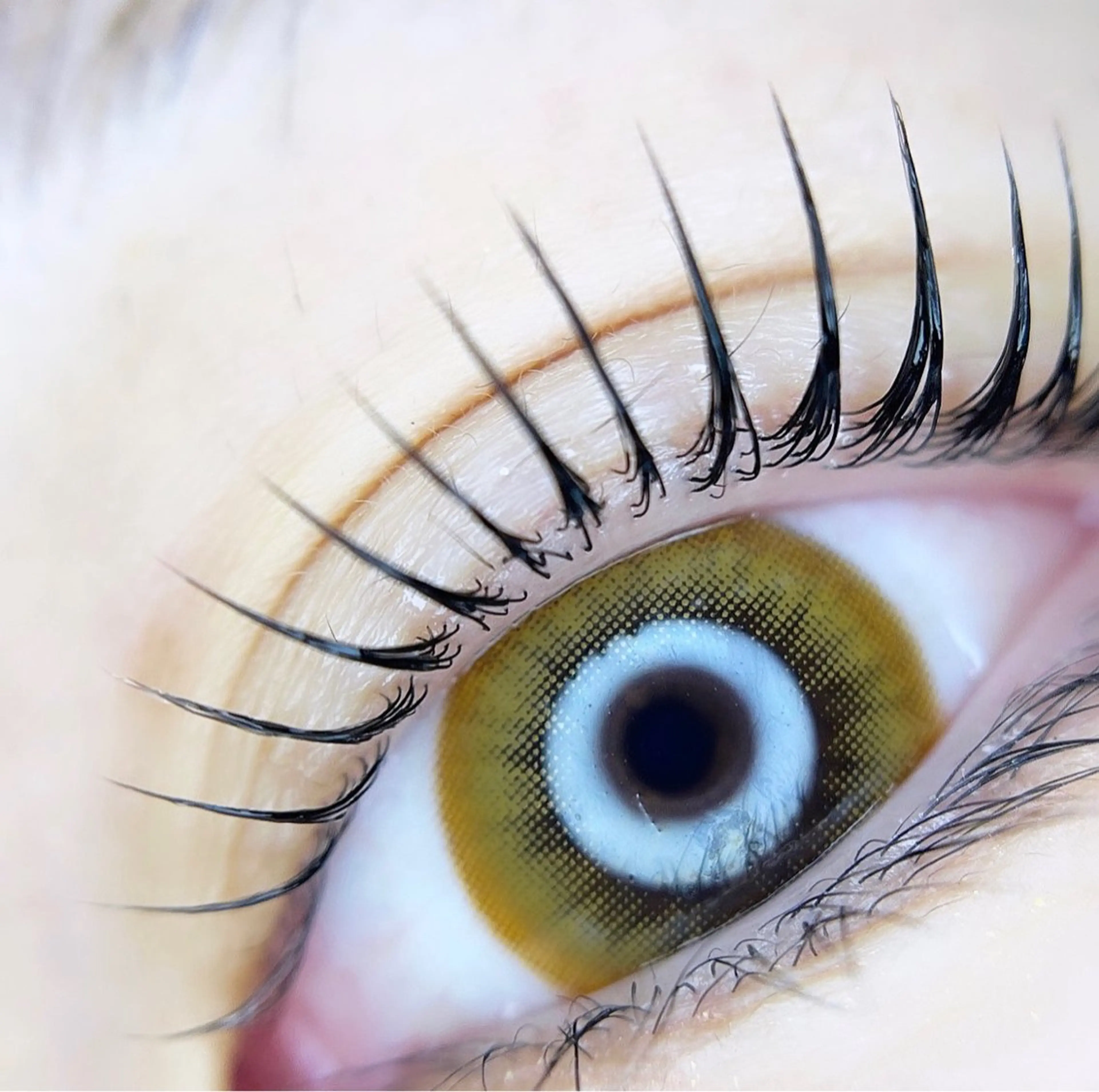 マツエク・マツパ アイラッシュサロン エルアのマツエク・マツパデザイン