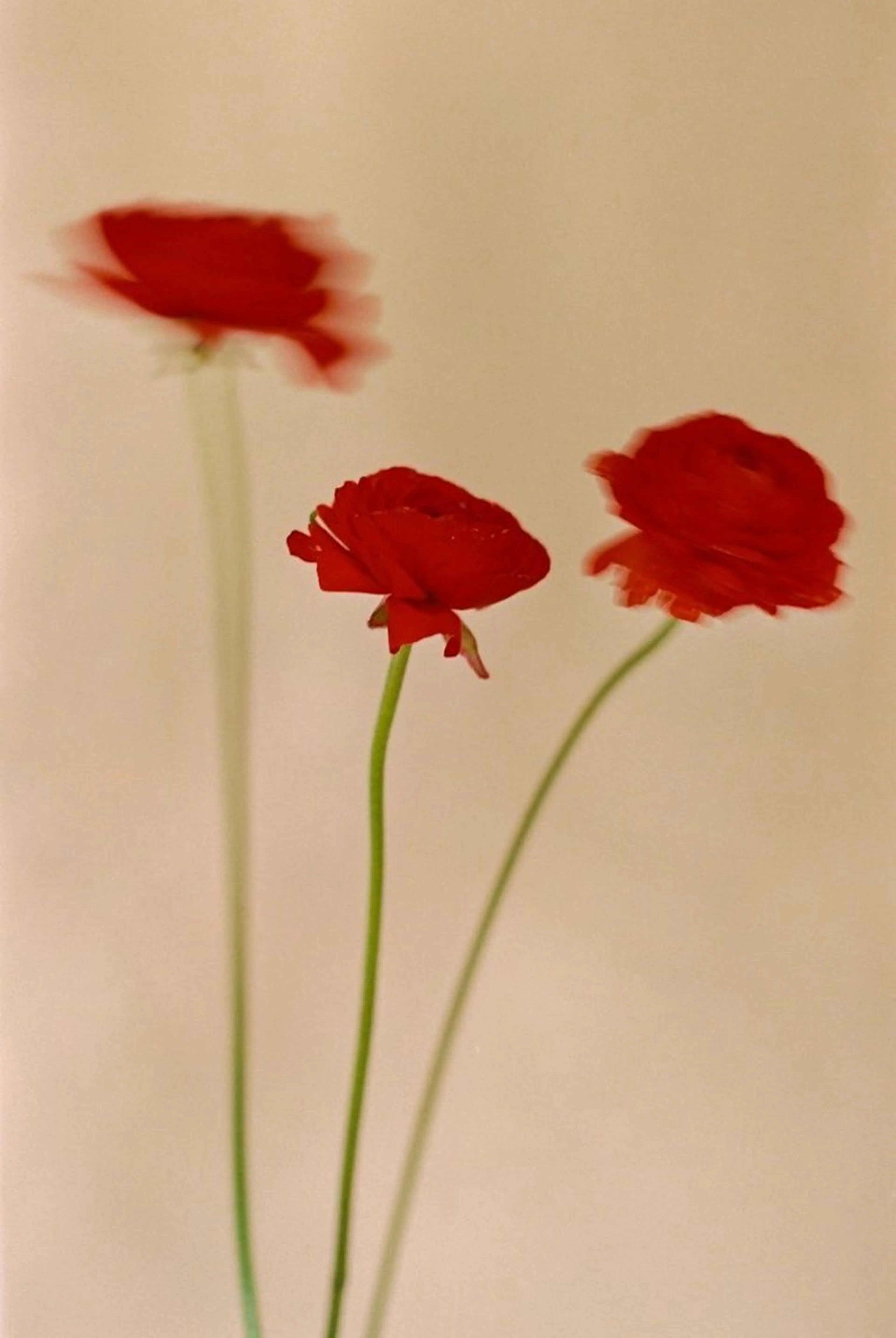 オト/レイヤー/ Wカラー/メンズのヘアスタイル