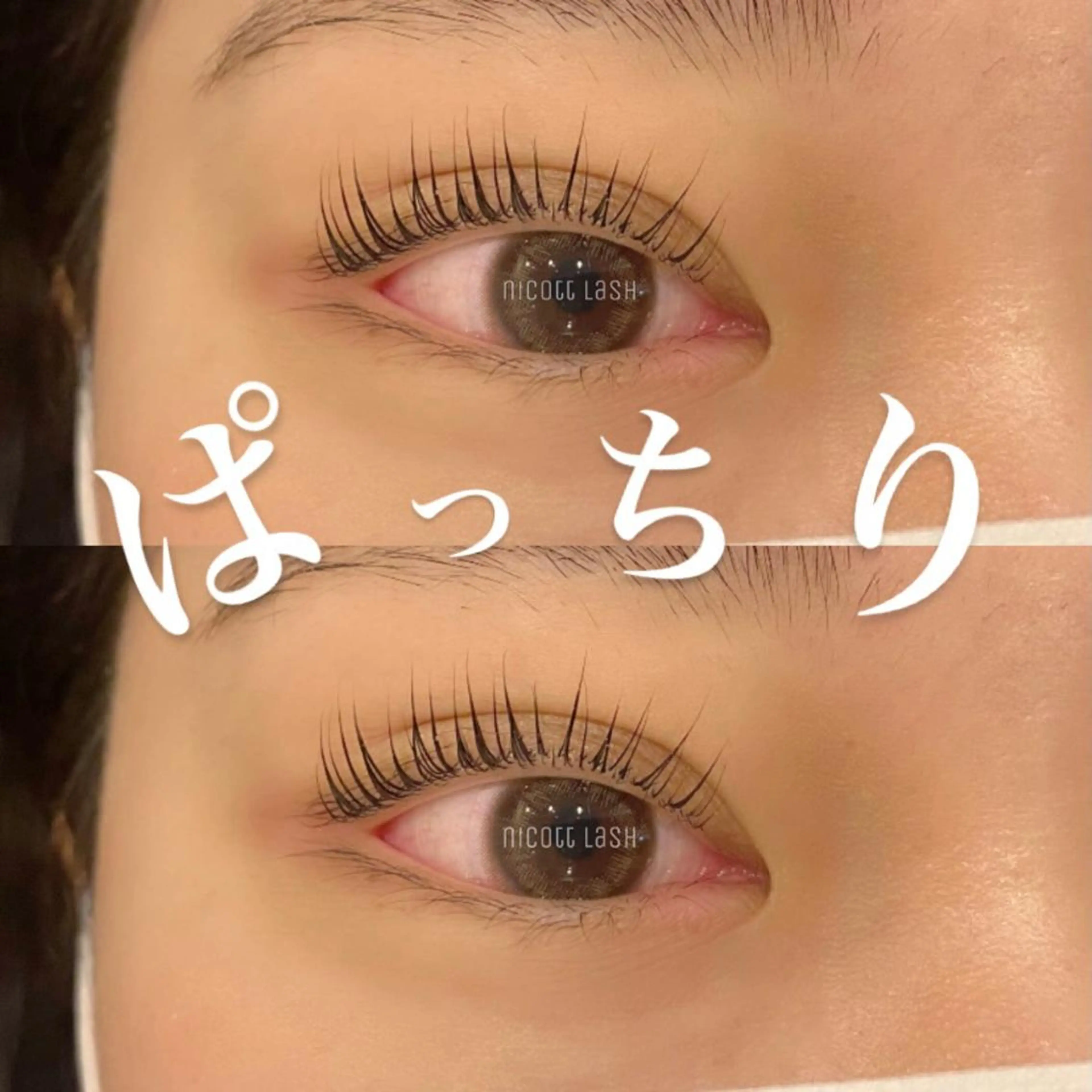 マツエク・マツパ パリジェンヌラッシュリフト デイジーラッシュ 天王寺　南のマツエク・マツパデザイン