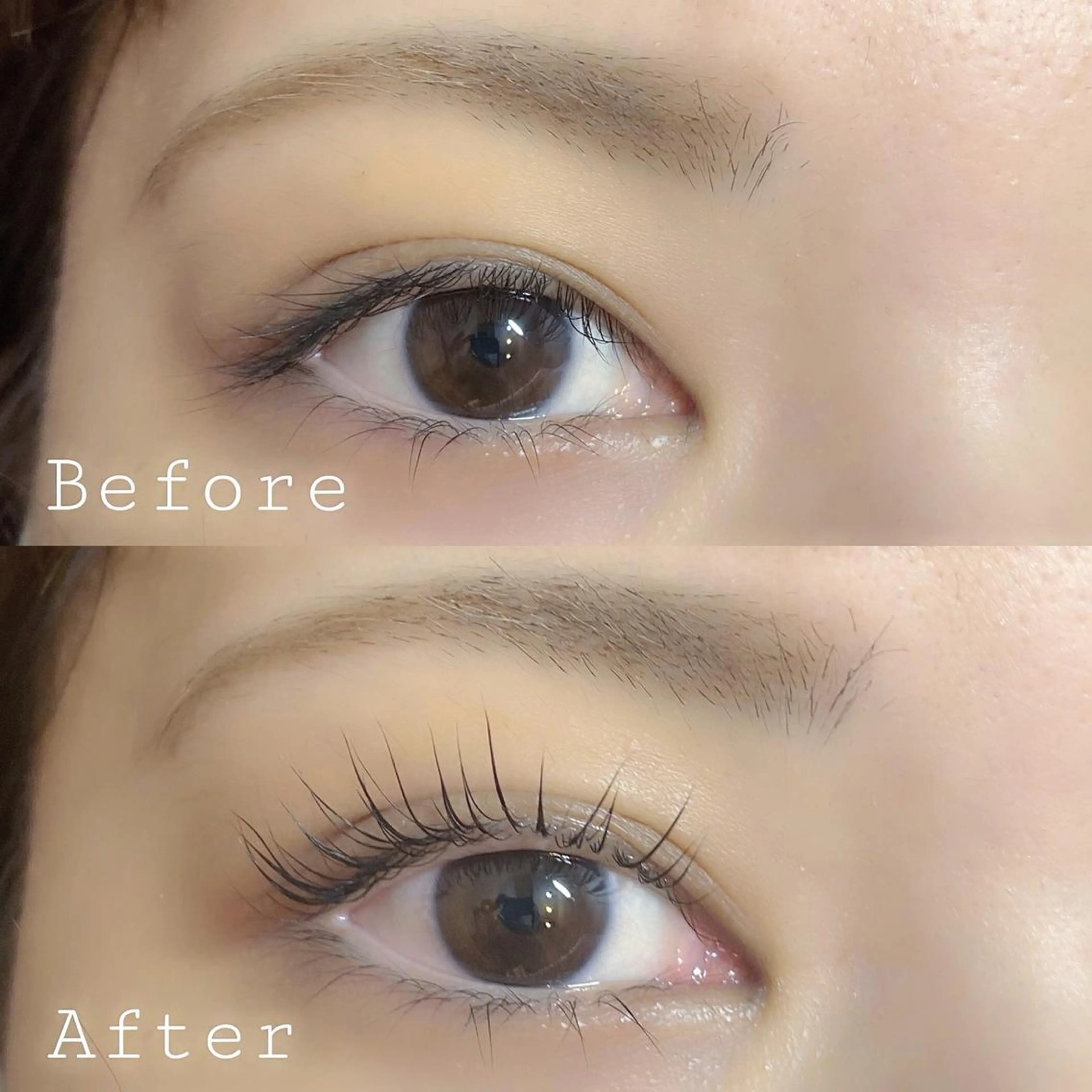 マツエク・マツパ Nail&Eyelash Terra 銀座店所属・terra miiのマツエク・マツパデザイン