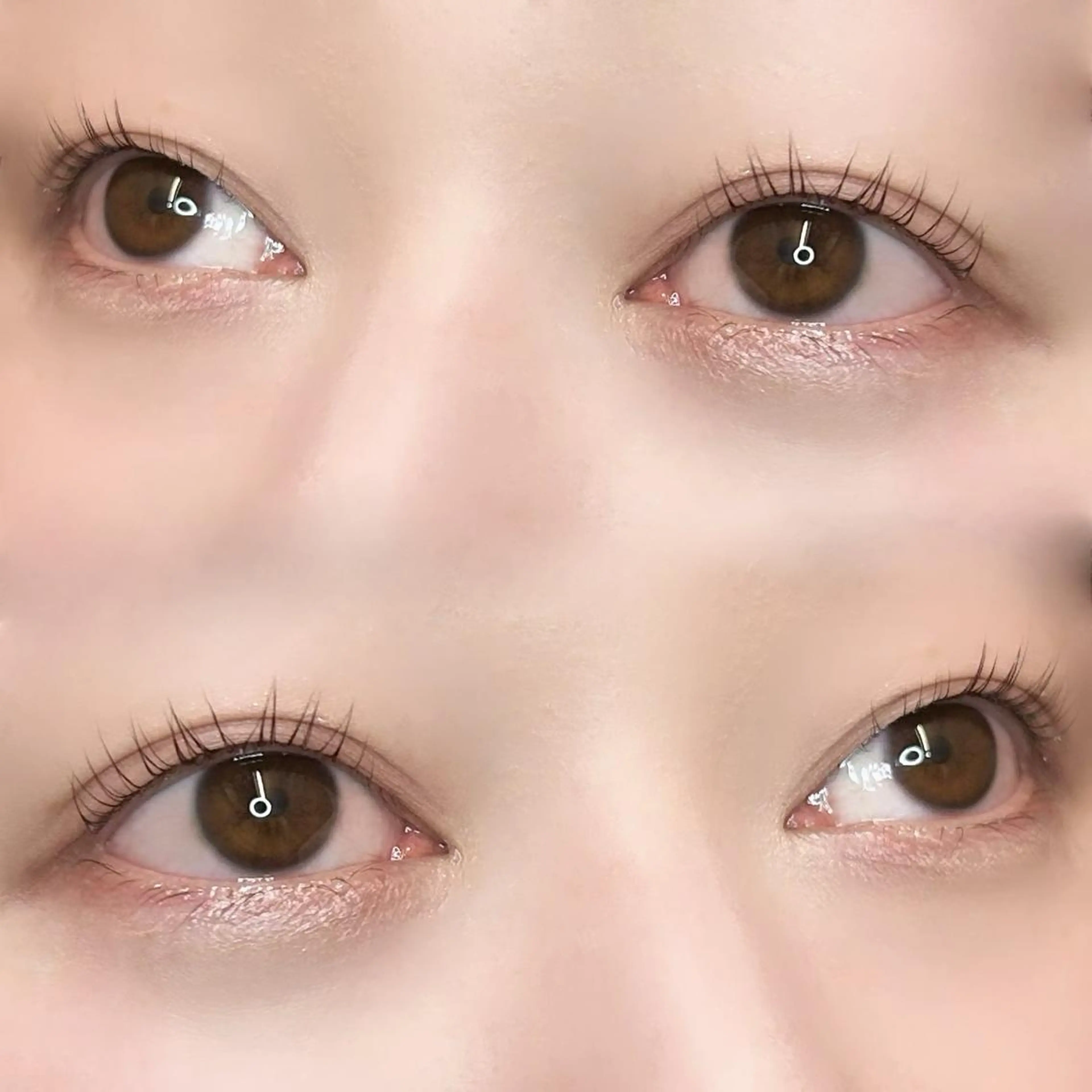 マツエク・マツパ パリジェンヌラッシュリフト 🦢✨fein. 原宿店✨🤍の眉毛・アイブロウイメージ