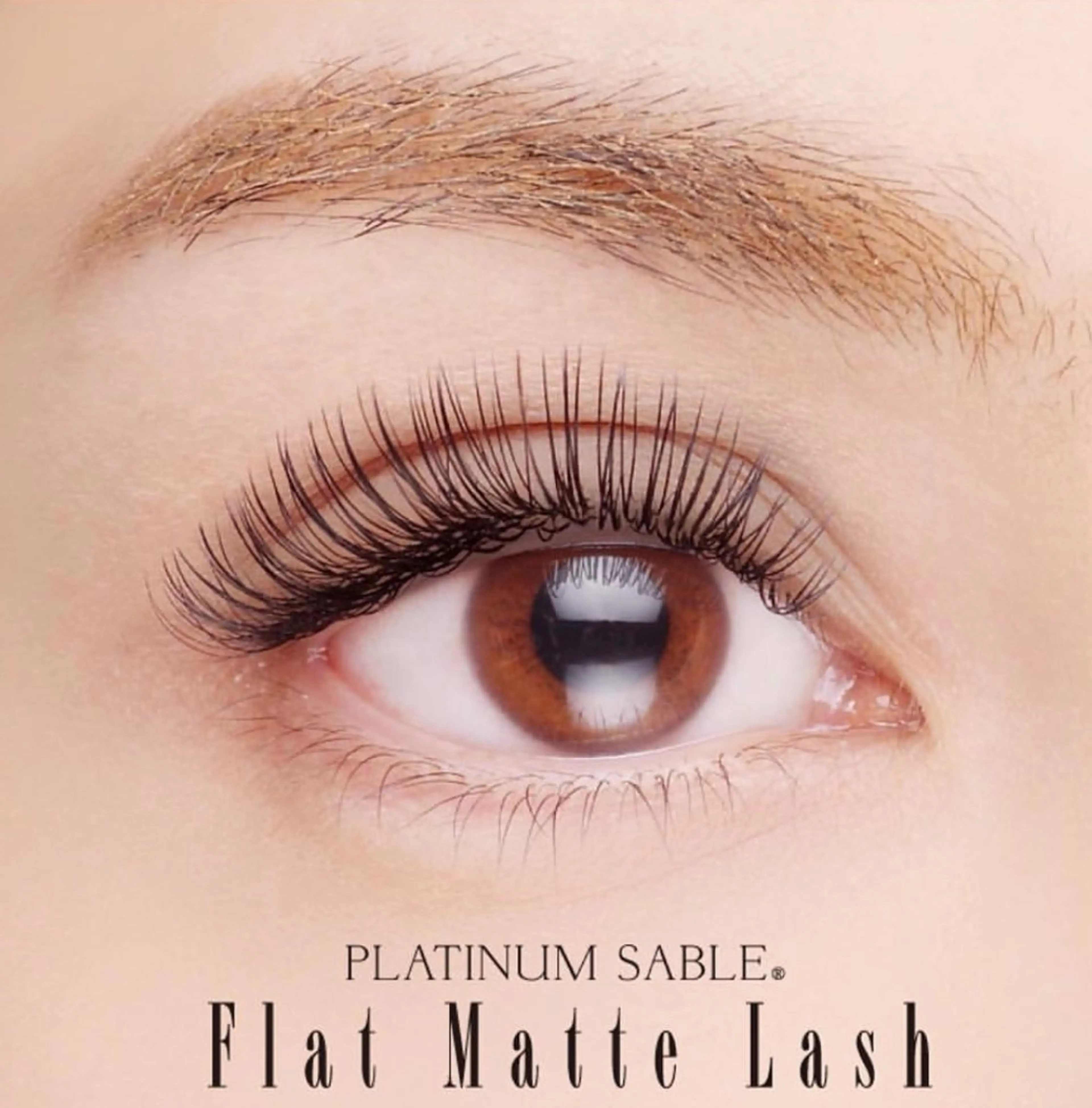 マツエク・マツパ フラットラッシュ グランアイ 船橋北口店の眉毛・アイブロウイメージ