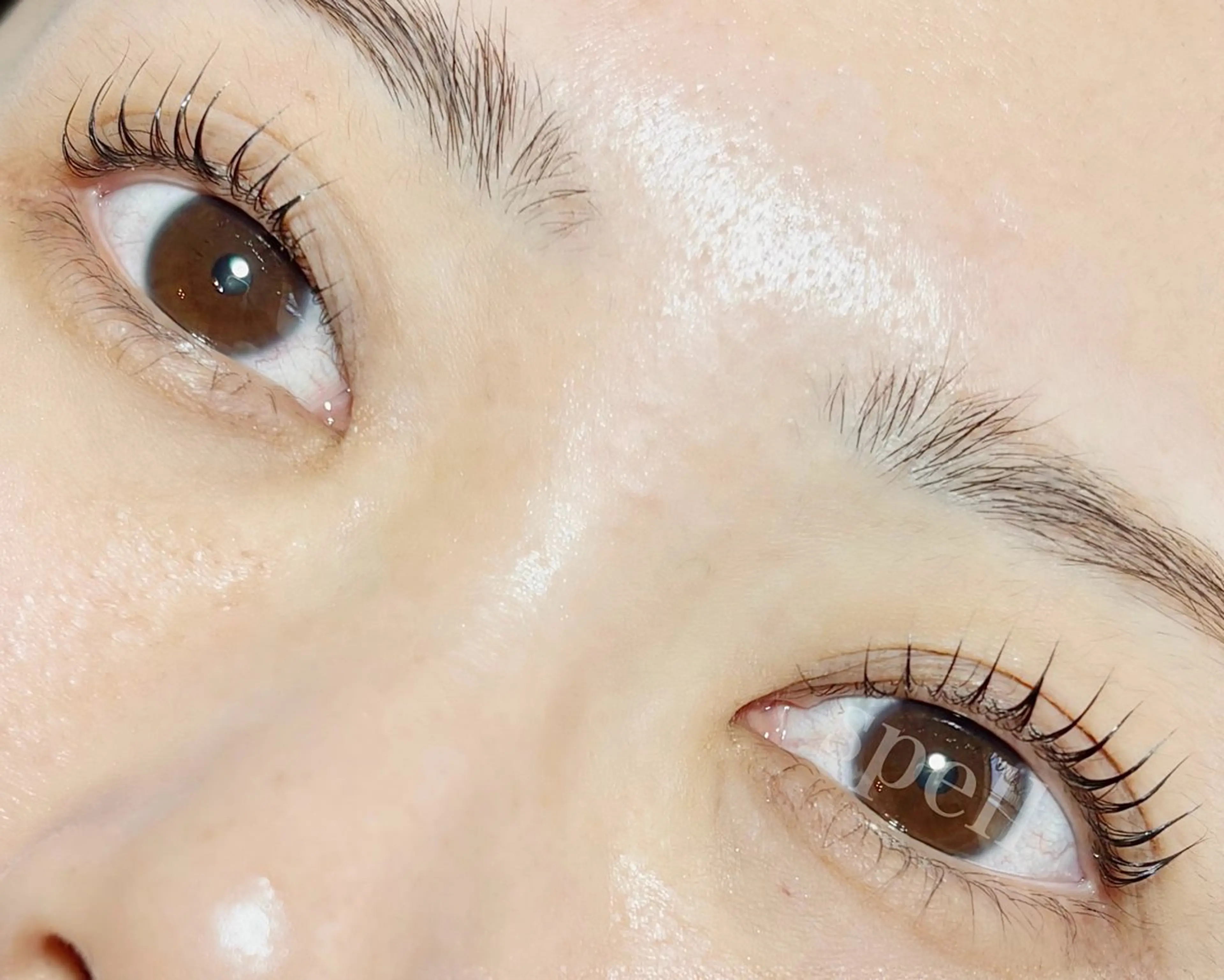 マツエク・マツパ マツパ spell_eyelash所属・spell eyelashのマツエク・マツパデザイン