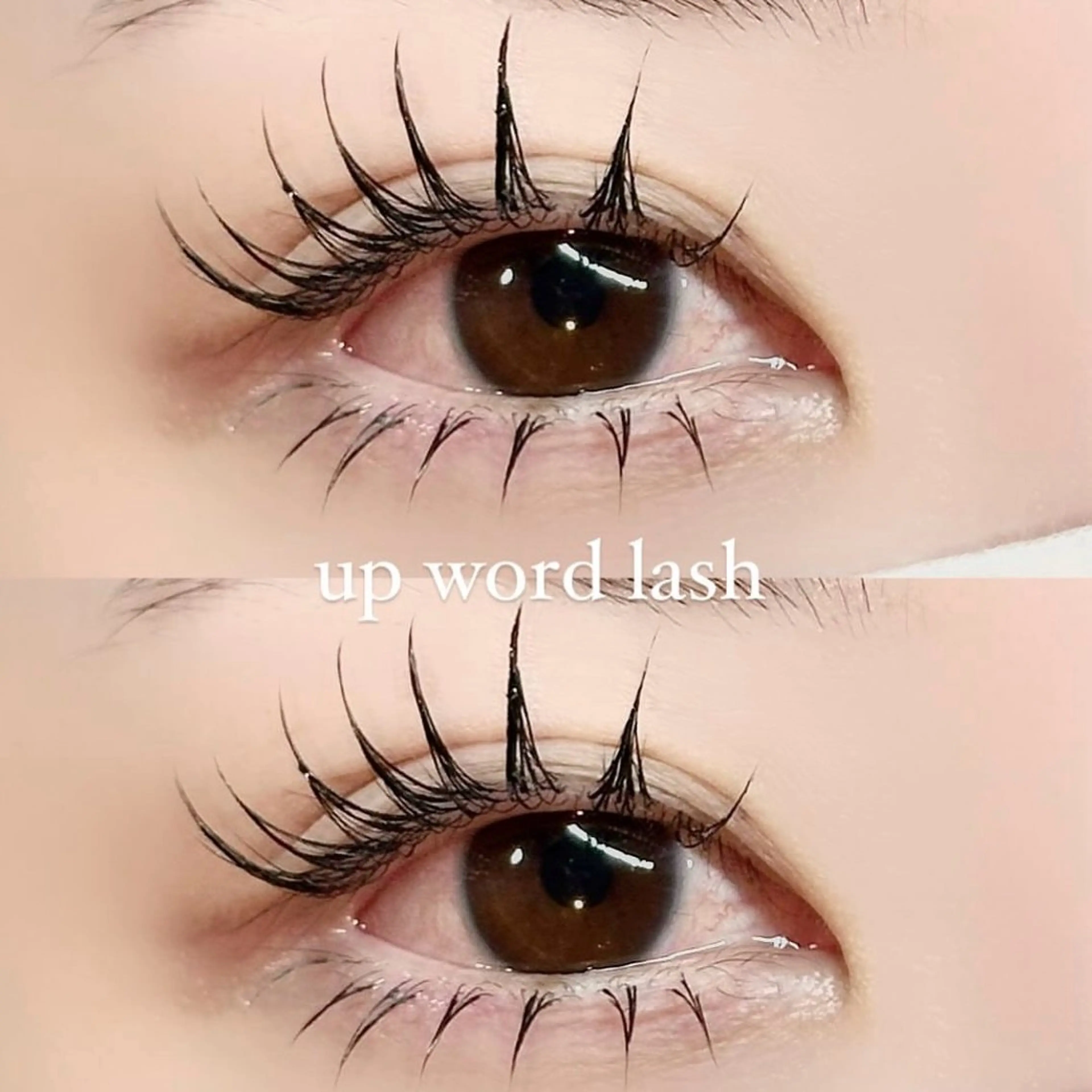 【オフ込み】アップワードラッシュ80本の写真