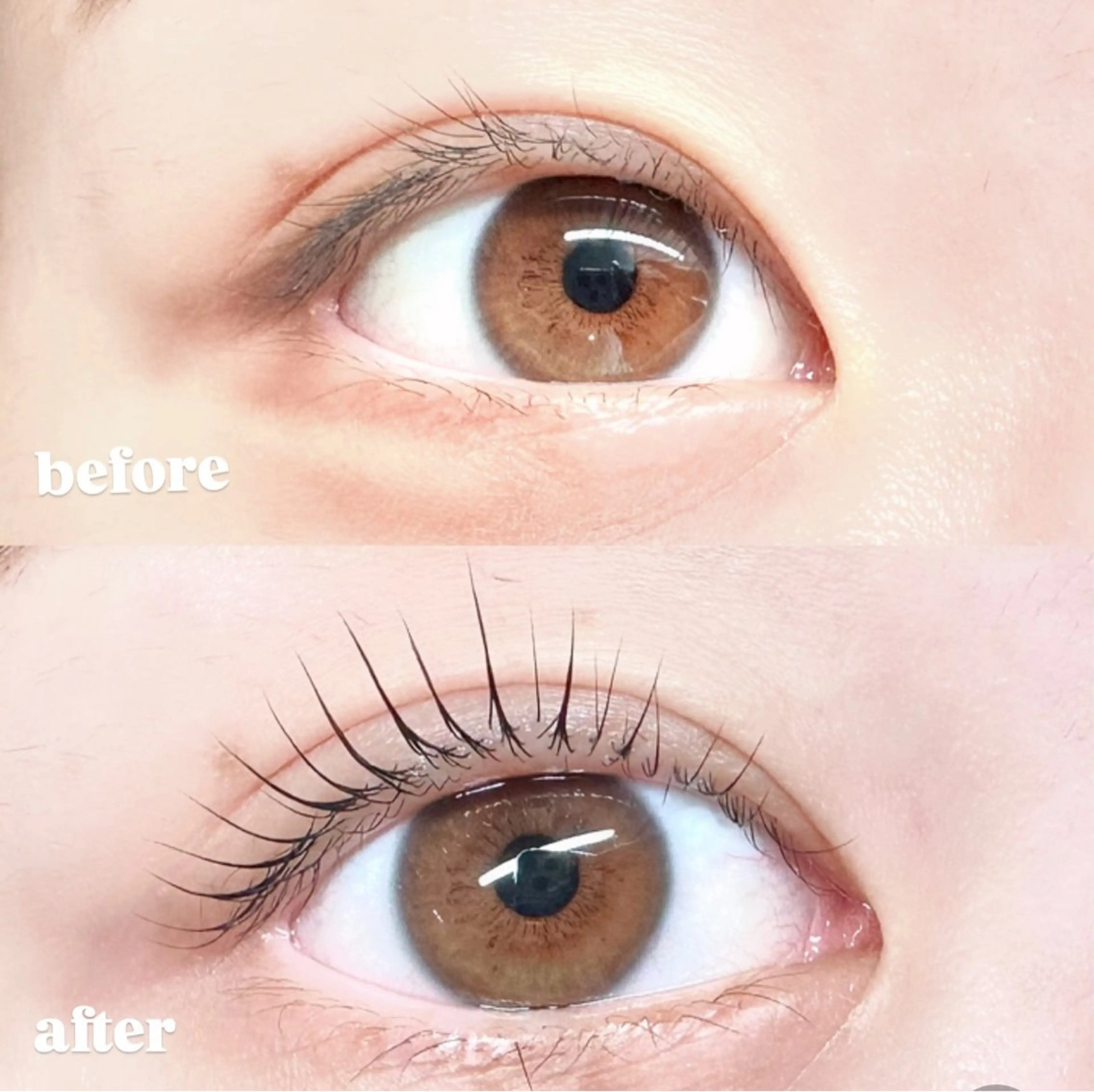 マツエク・マツパ パリジェンヌラッシュリフト 一重×まつ毛パーマ momoka 💕のマツエク・マツパデザイン