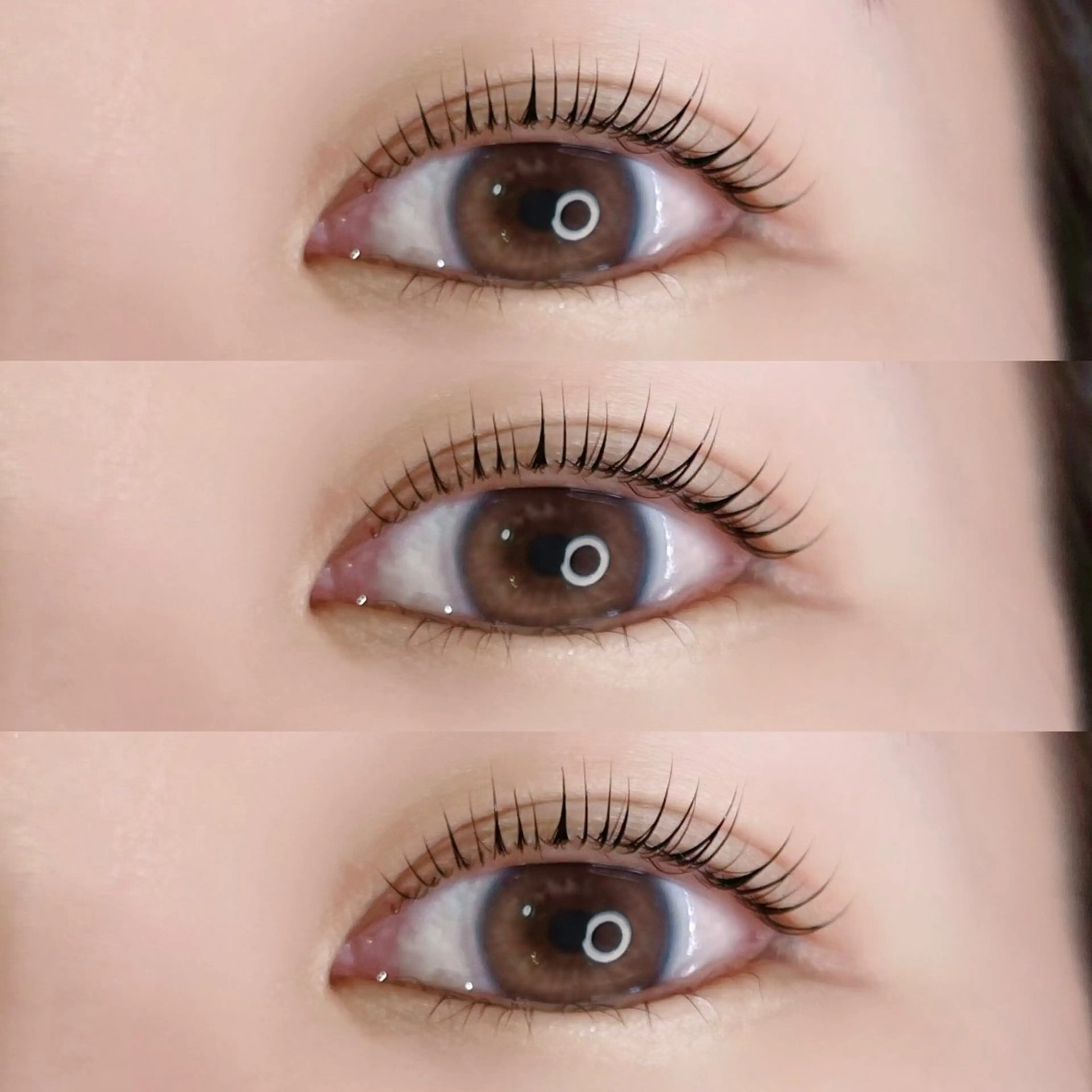 マツエク・マツパ 束感まつ毛 韓国風マツエク ナチュラル 下まつげエクステ 一重×まつ毛パーマ 眉毛/まつ毛パーマ/WAX脱毛 Navillera 自由が丘所属・眉毛／まつ毛サロン Ayamiのマツエク・マツパデザイン