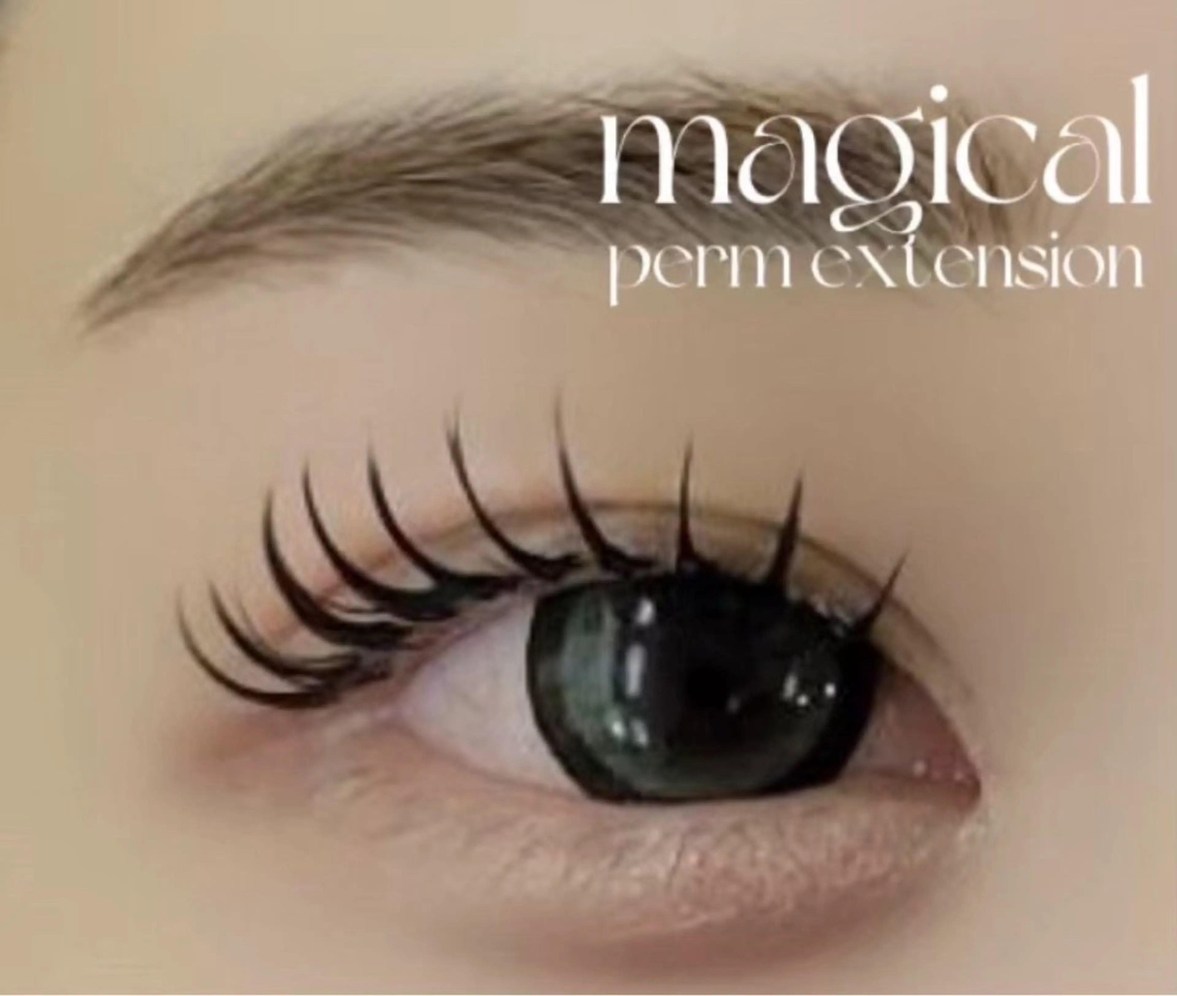 【人数限定🫧】マジカルパーマ+LEDフラット140本✨下まつげ40本まの写真