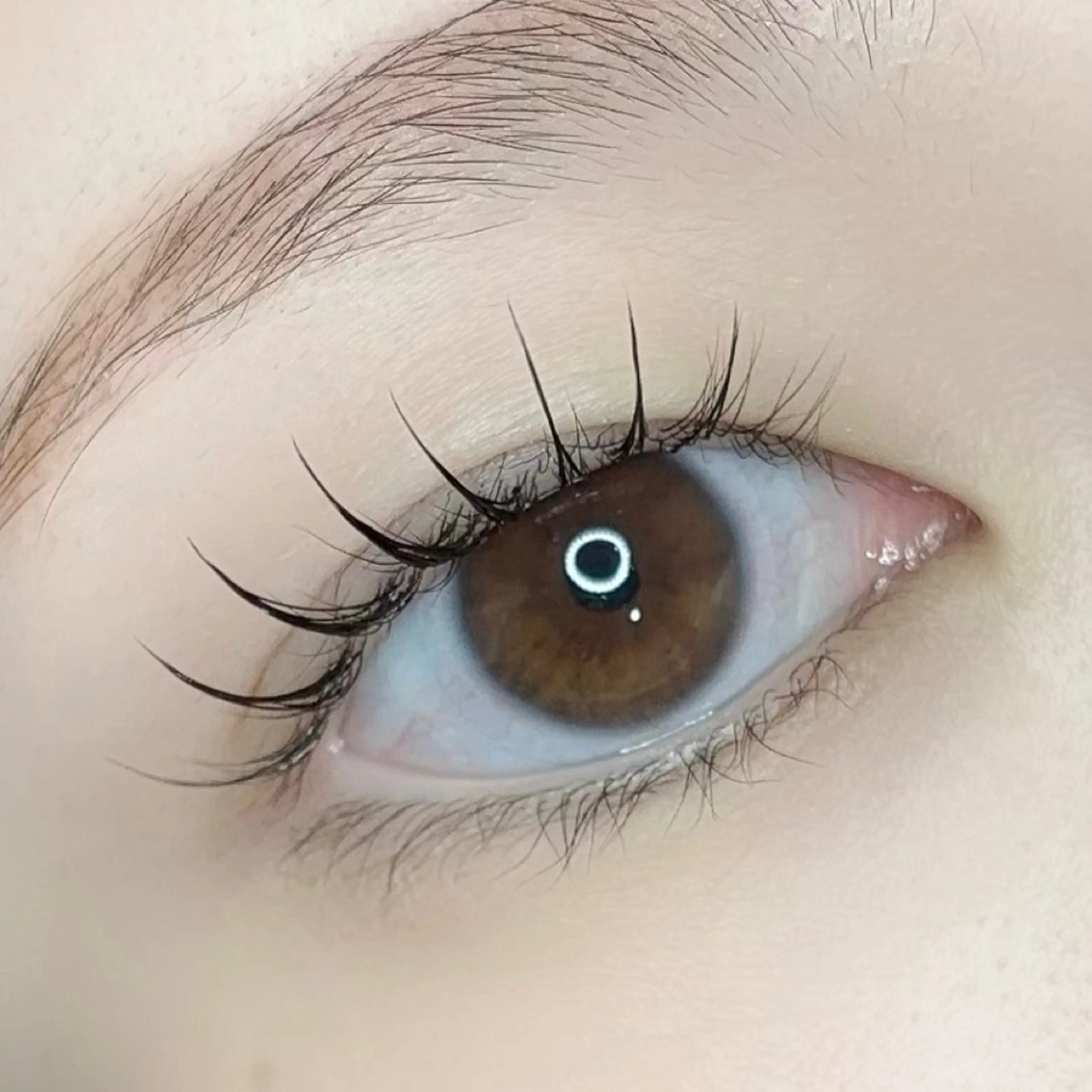 大人気パリエク✨パリジェンヌ×LEDフラットラッシュ80本の写真