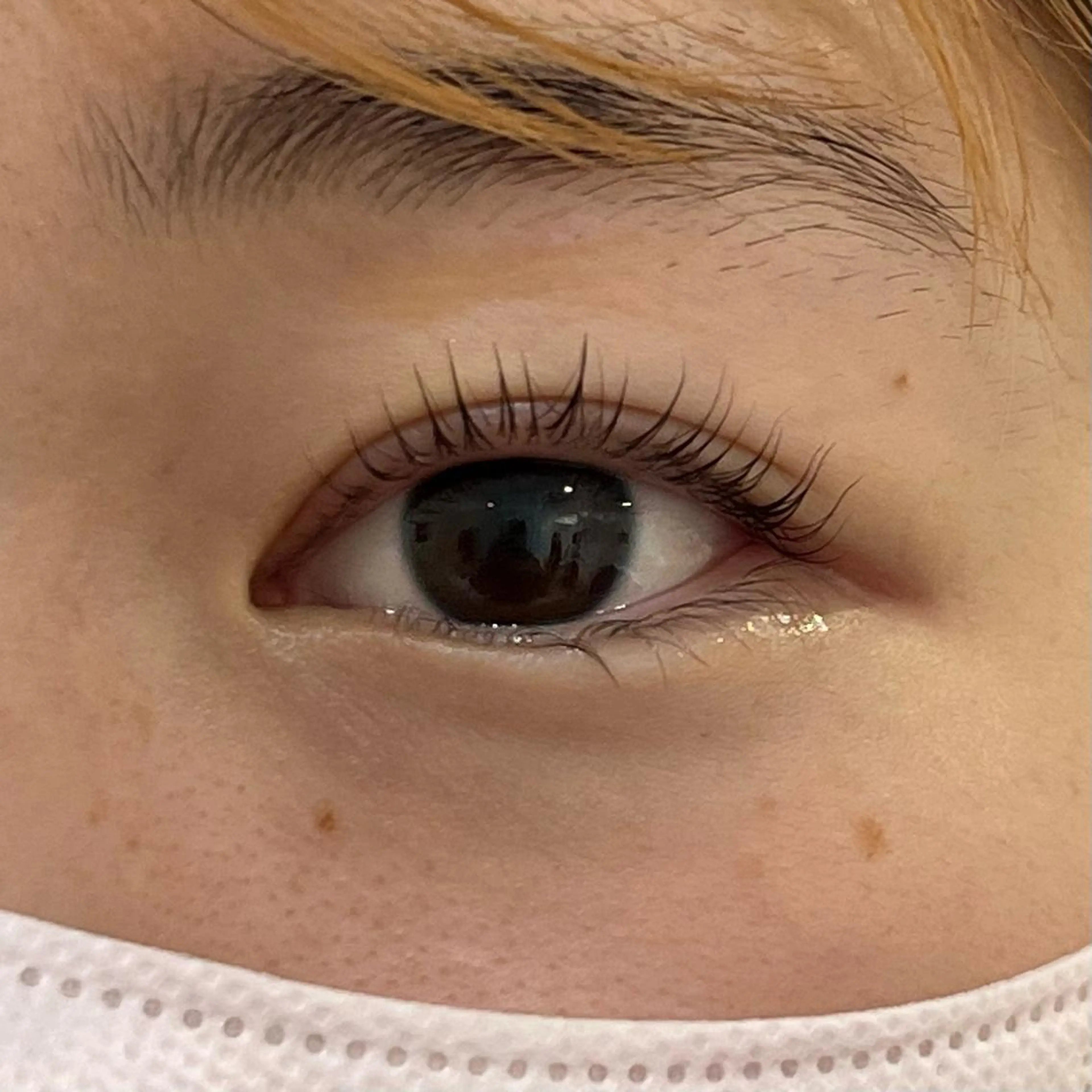 マツエク・マツパ パリジェンヌラッシュリフト 一重×まつ毛パーマ カルフールノア船橋所属・Noa andoのマツエク・マツパデザイン