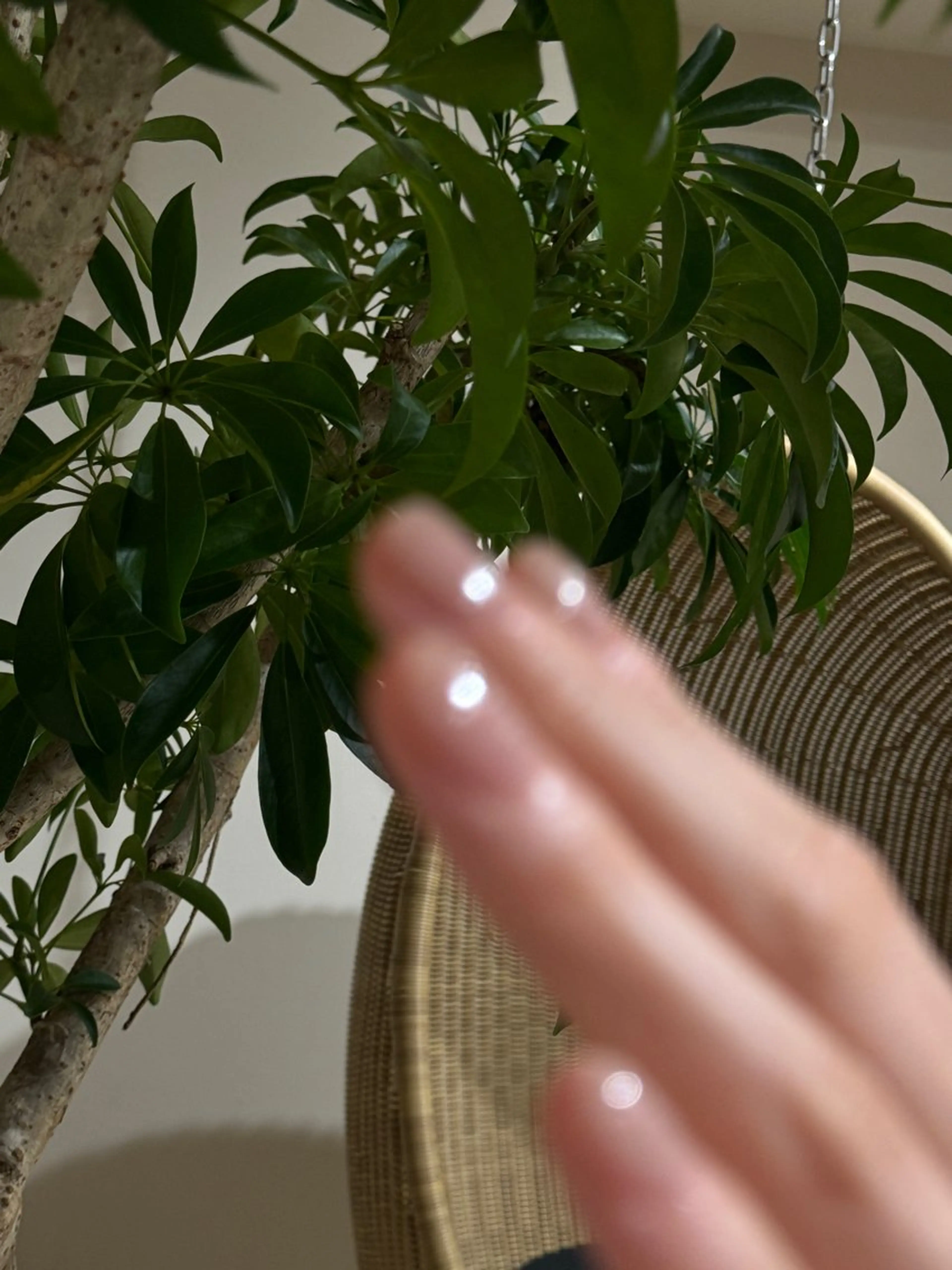 ネイル 市川 加奈子のネイルデザイン