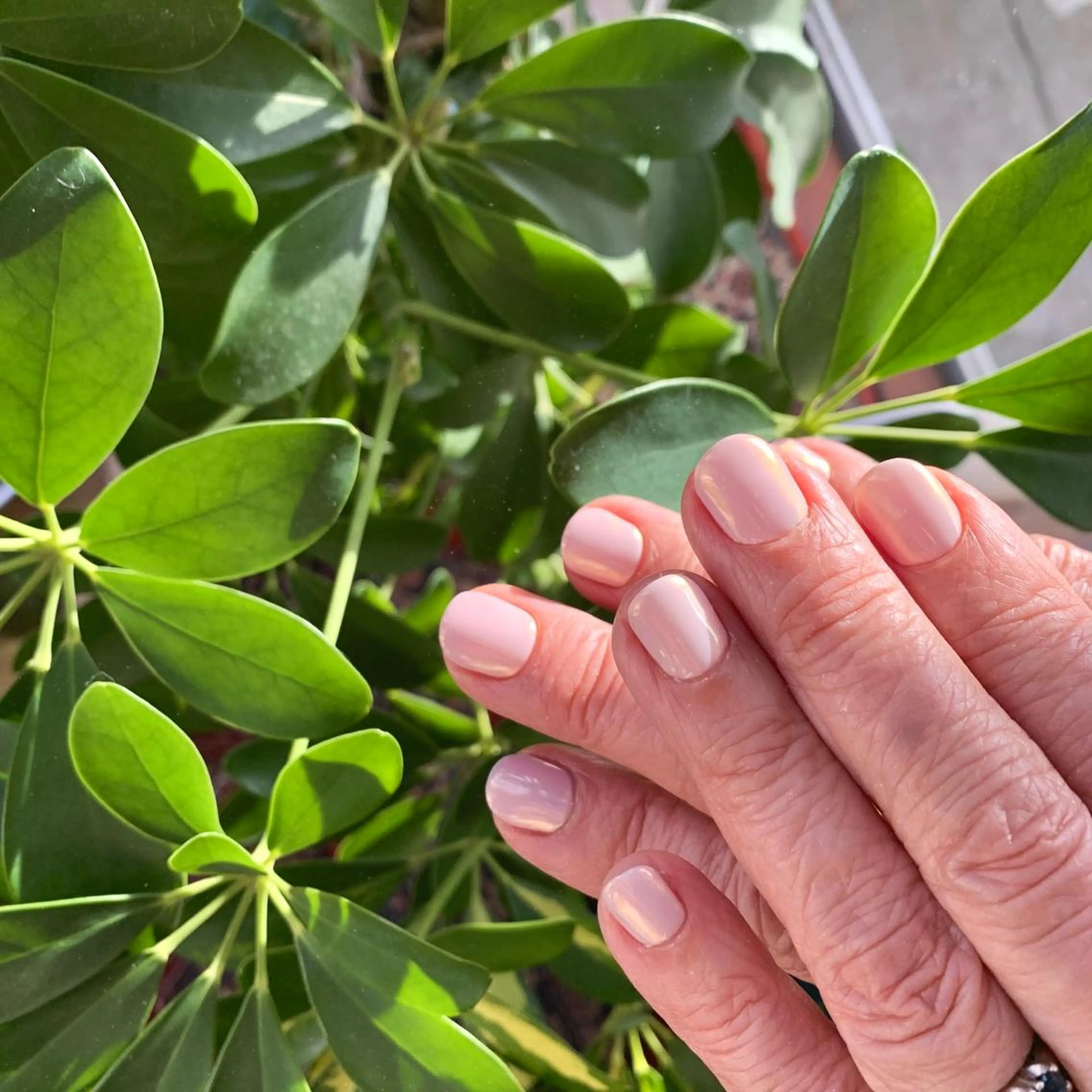 ネイル オーロラネイル ゴールド ピンク ピンクベージュ ヒラノ ナナのネイルデザイン