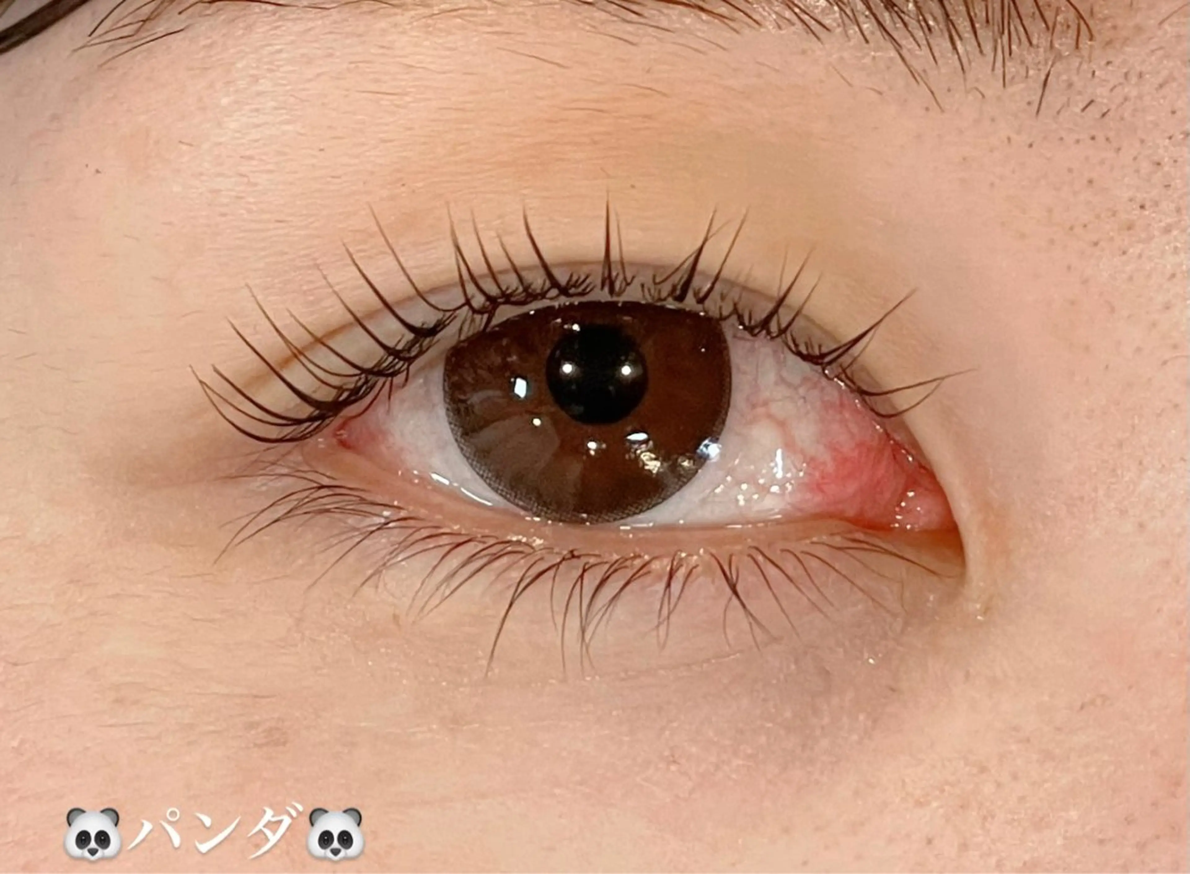 マツエク・マツパ Butterfly 平塚店　中島のマツエク・マツパデザイン