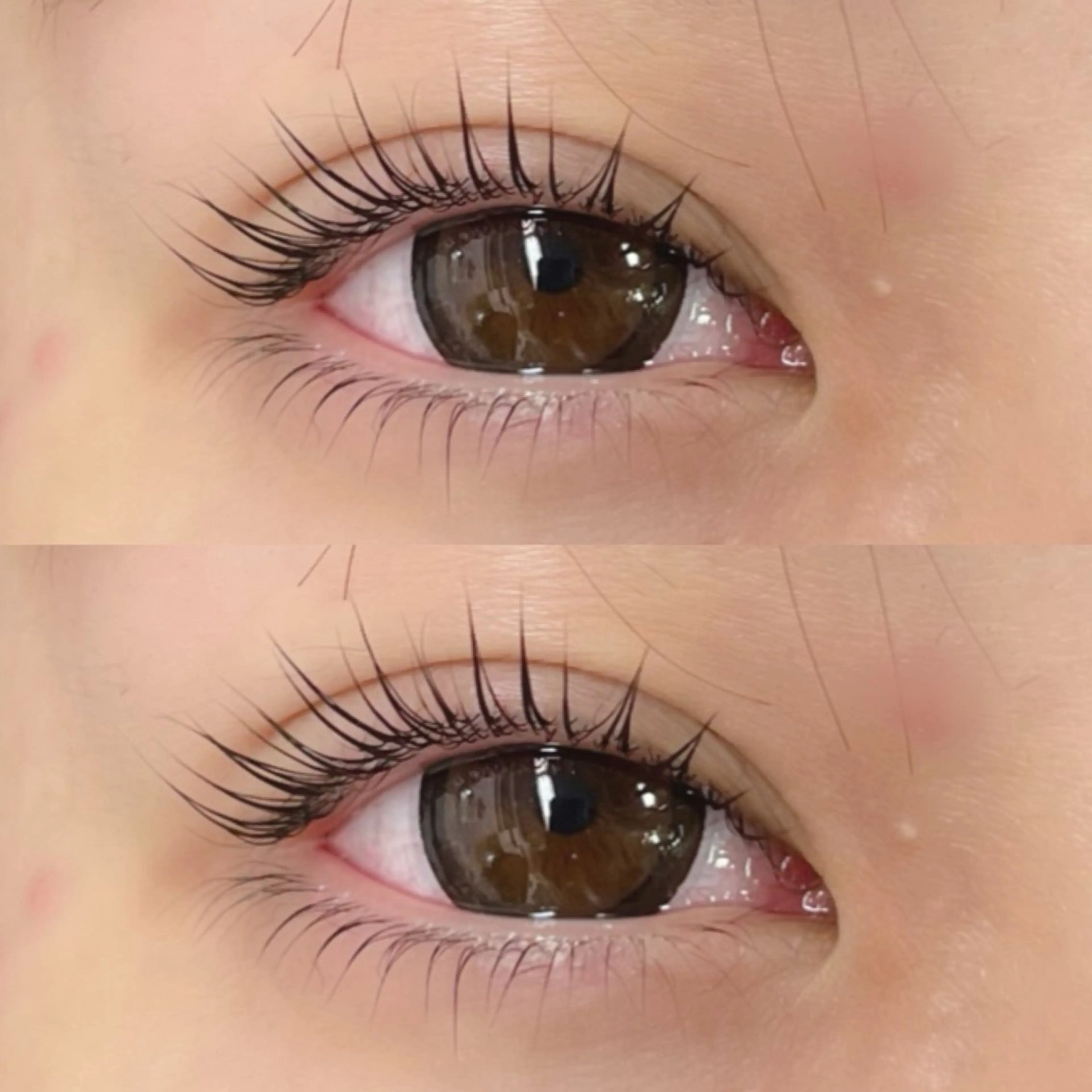 マツエク・マツパ Moe/韓国風/ 束感/キュート❤︎のマツエク・マツパデザイン