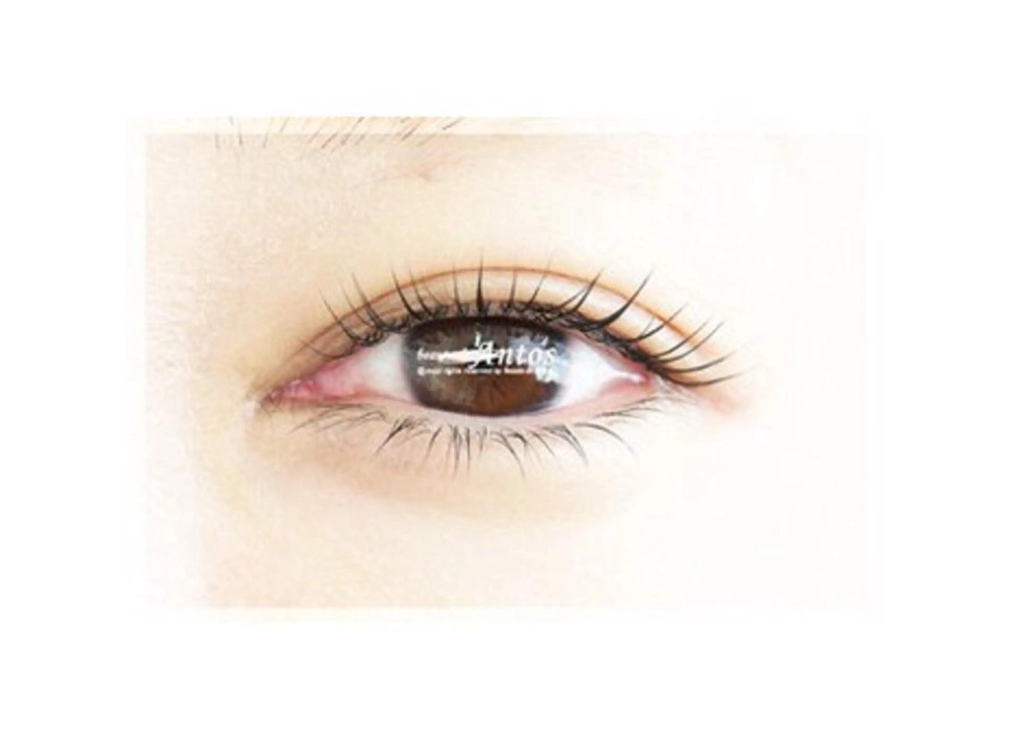 マツエク・マツパ まつげパーマ まつげ&眉毛専門店 アントスstaffのマツエク・マツパデザイン