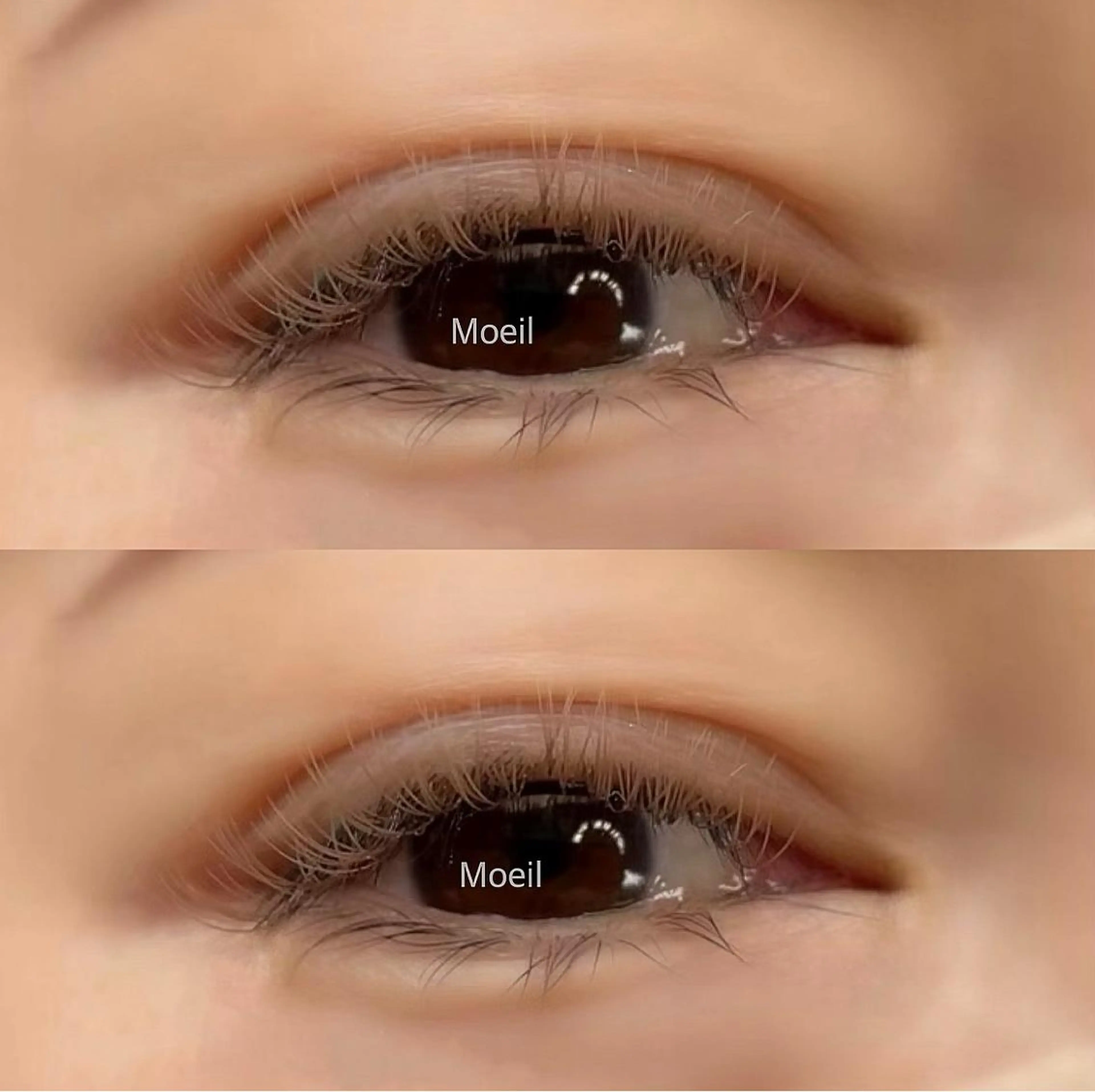 【オフ･コーティング付き】ダブルフラット100束(カラー変更+1100円)の写真