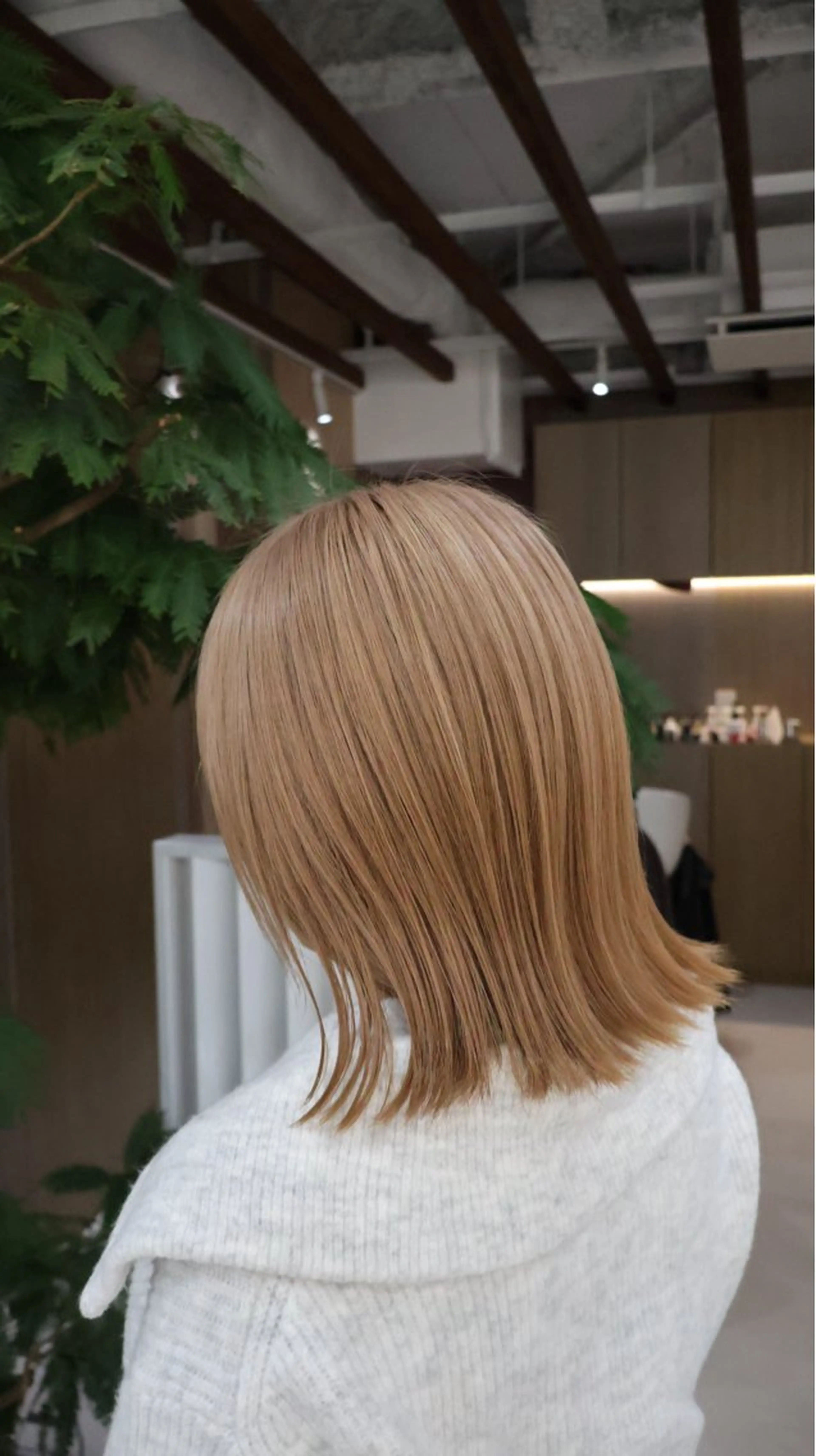 カラー R/🤎 パーマ＆ブリーチ🔥のヘアスタイル