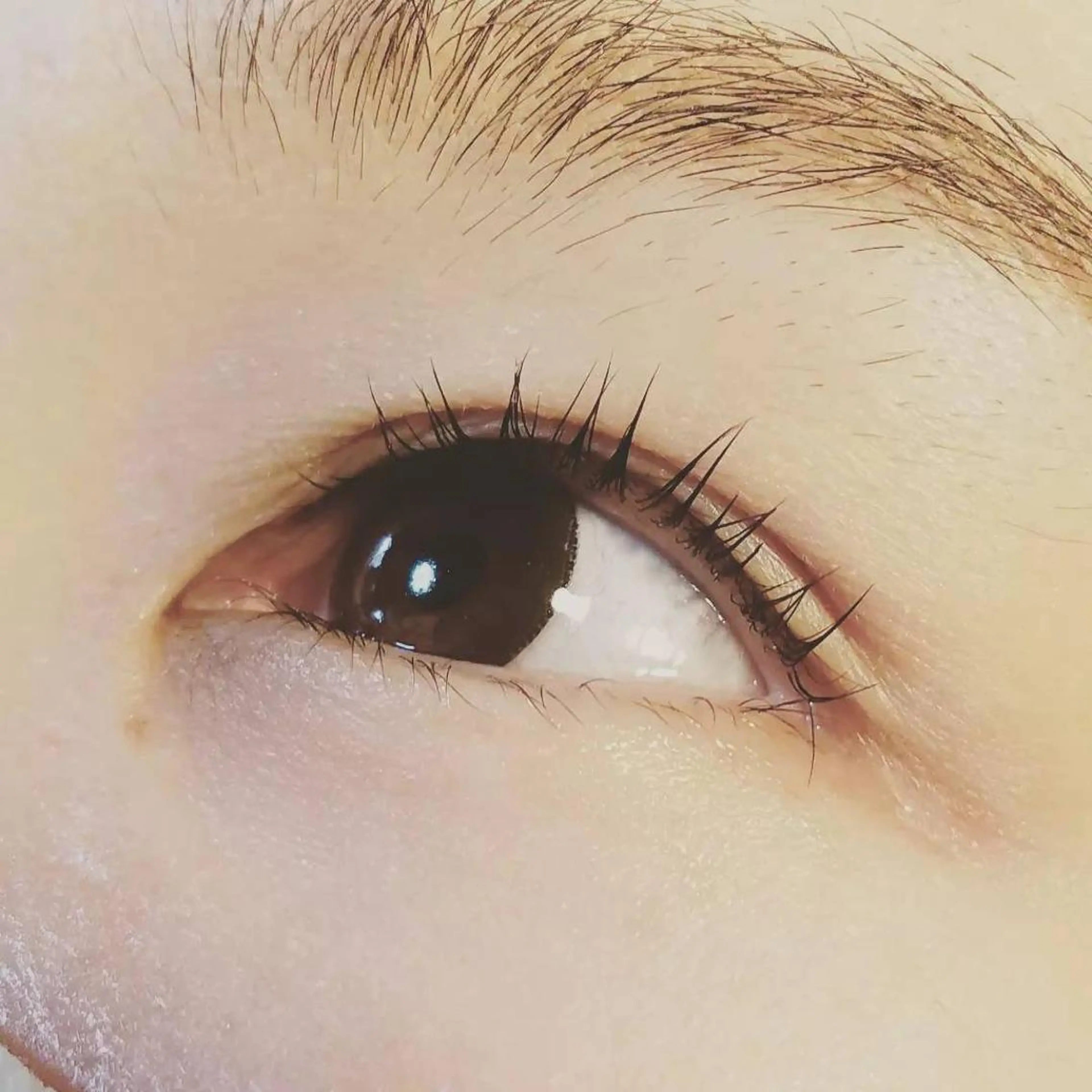 マツエク・マツパ 一重×まつ毛パーマ マツパ Sifa eyelashのマツエク・マツパデザイン