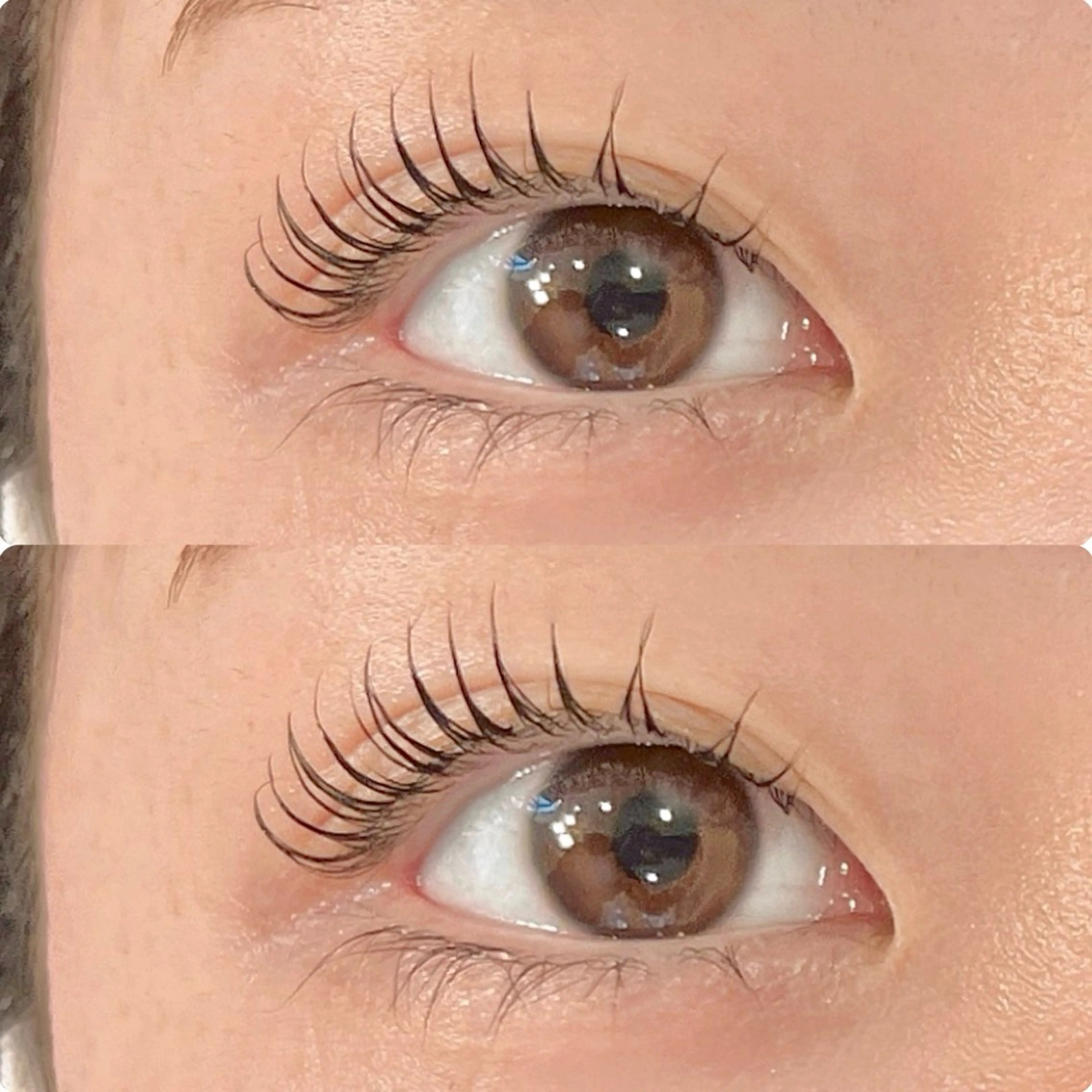 🫧学割U24🫧まつ毛パーマの写真