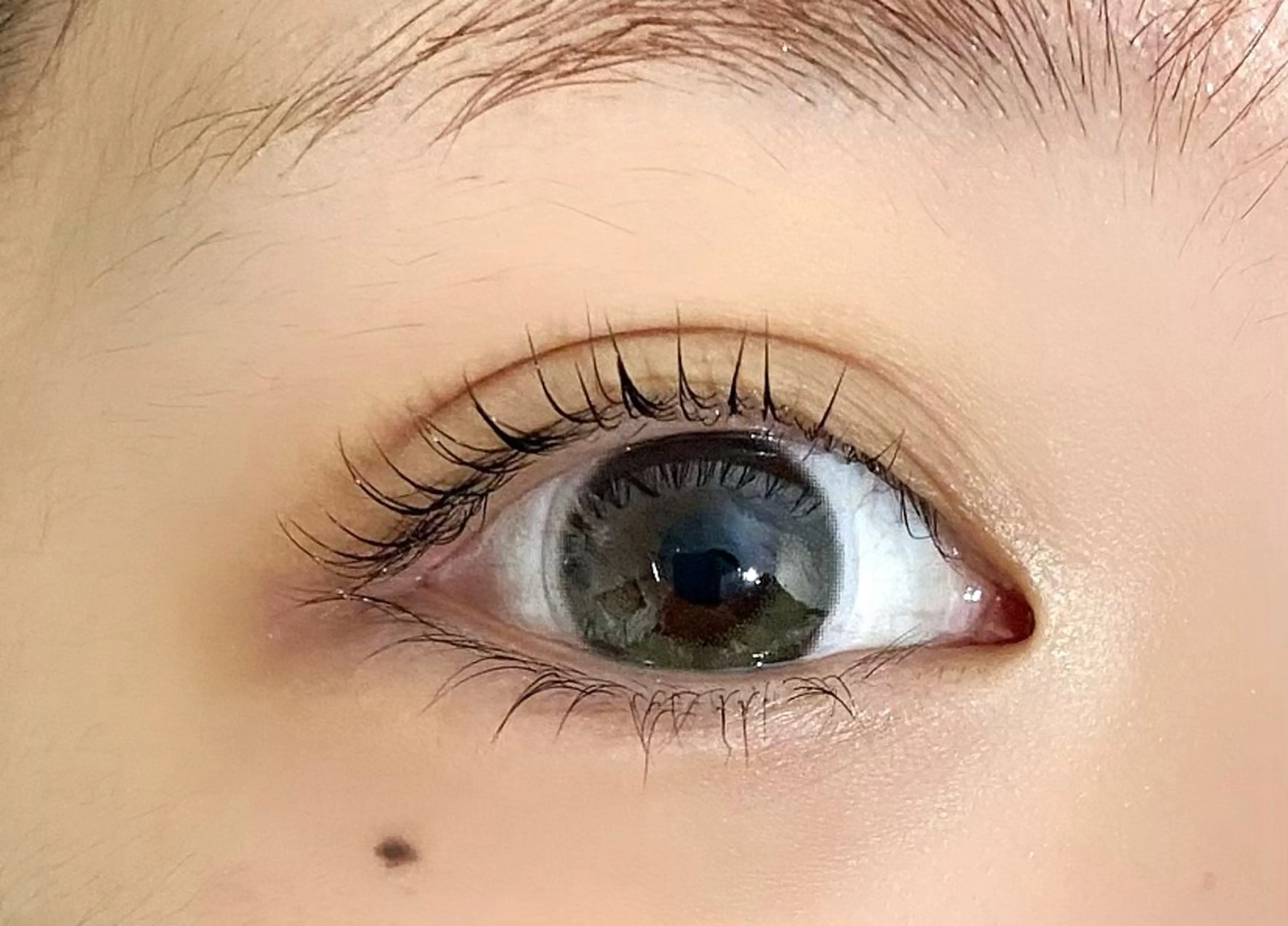 ラッシュリフト🧚✨4/16限定⭐️の写真