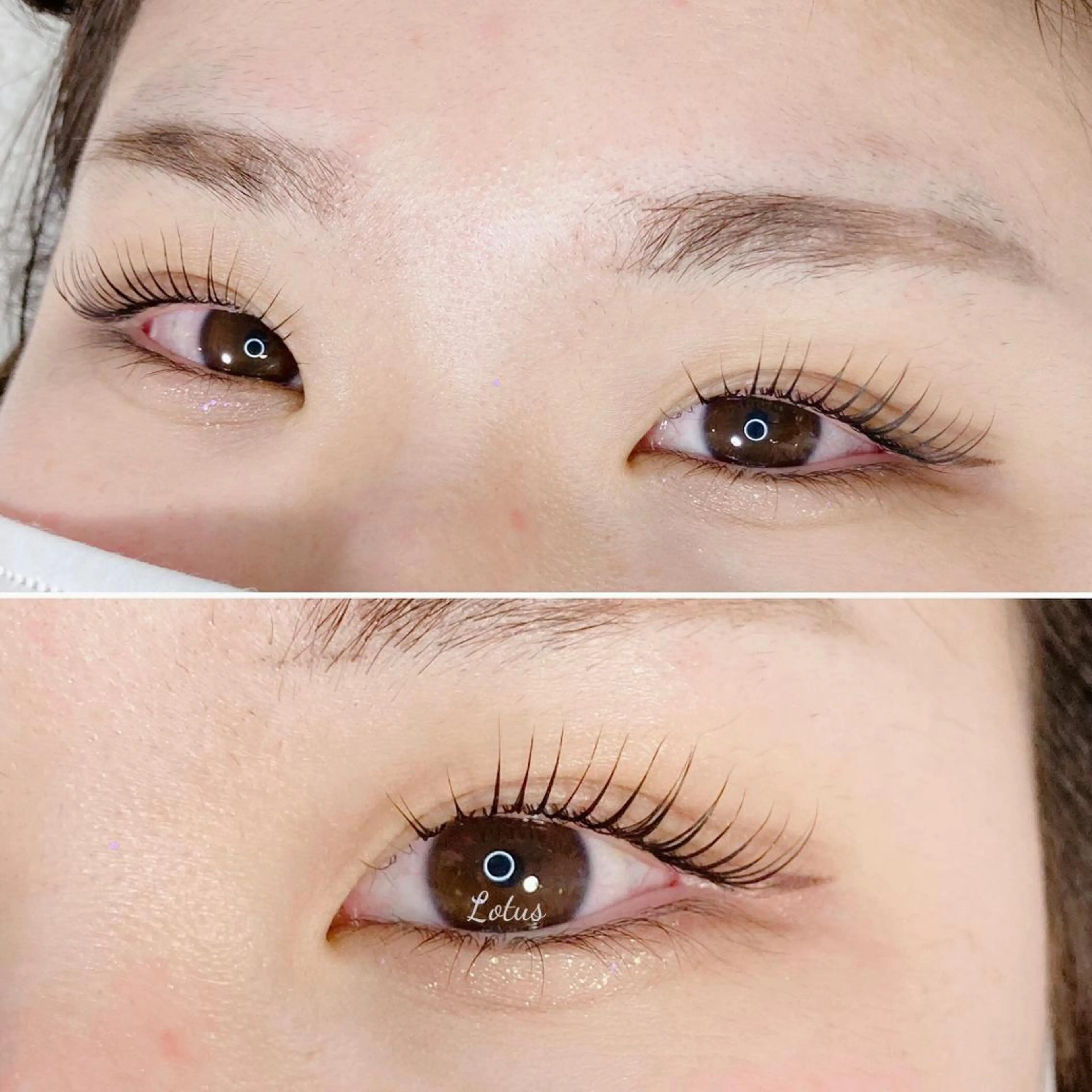 マツエク・マツパ マツパ Lotus所属・Lotus ロータスのマツエク・マツパデザイン