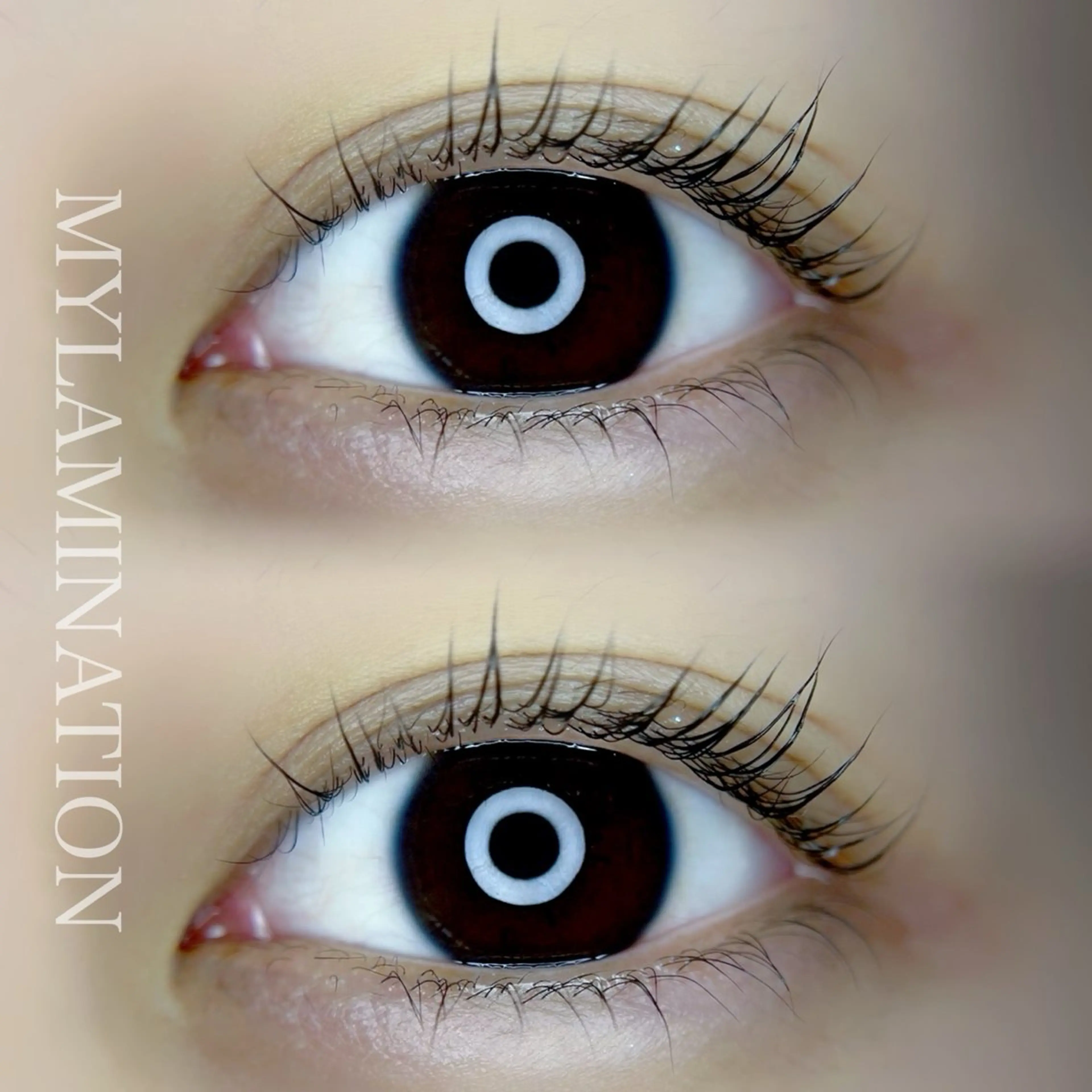 ご新規様限定🫧上下まつ毛パーマ(上下パリジェンヌor似合わせまつ毛パーマ)🌈11000円→7300円🌟の写真