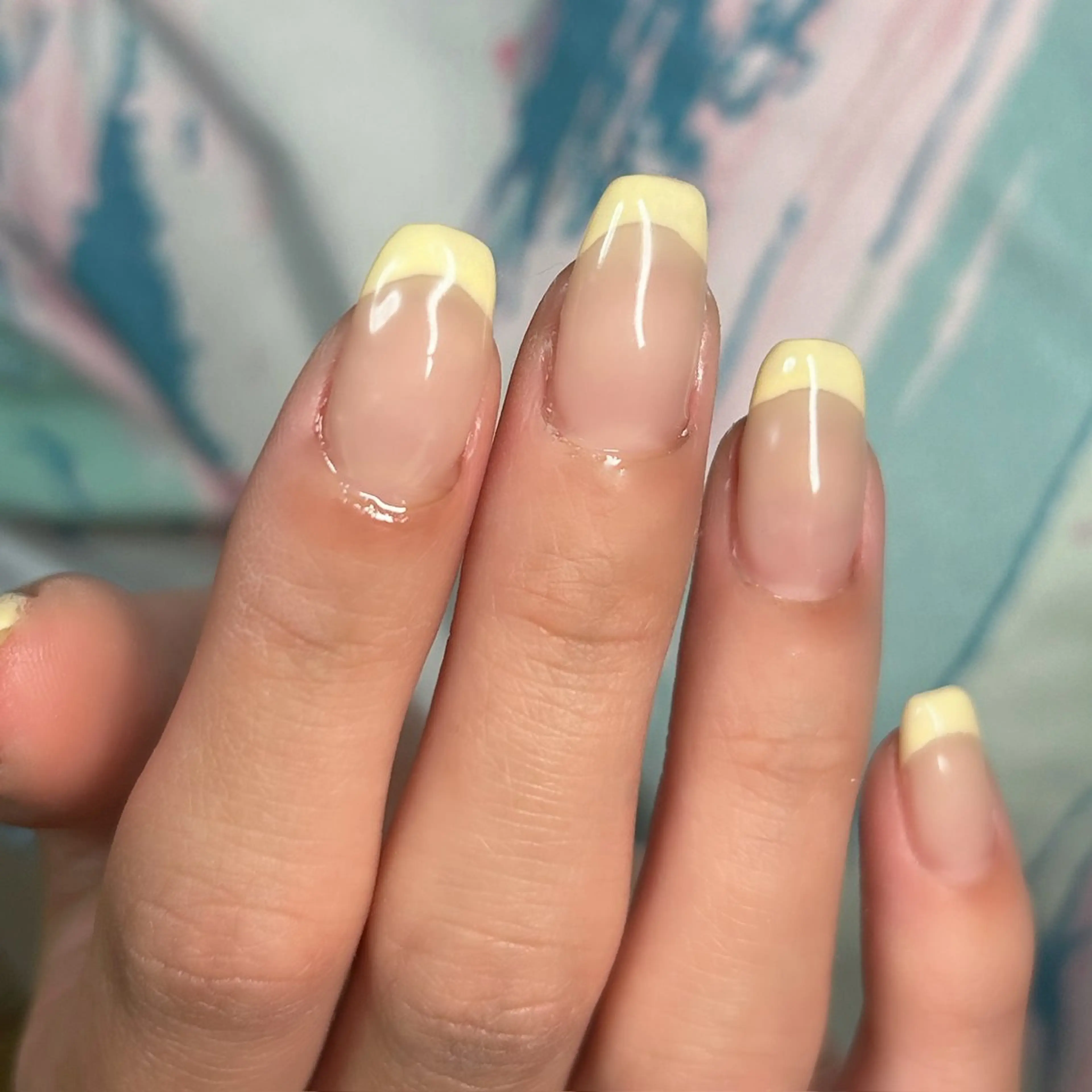 【 オフなし 】 フレンチ🍬*⋆の写真