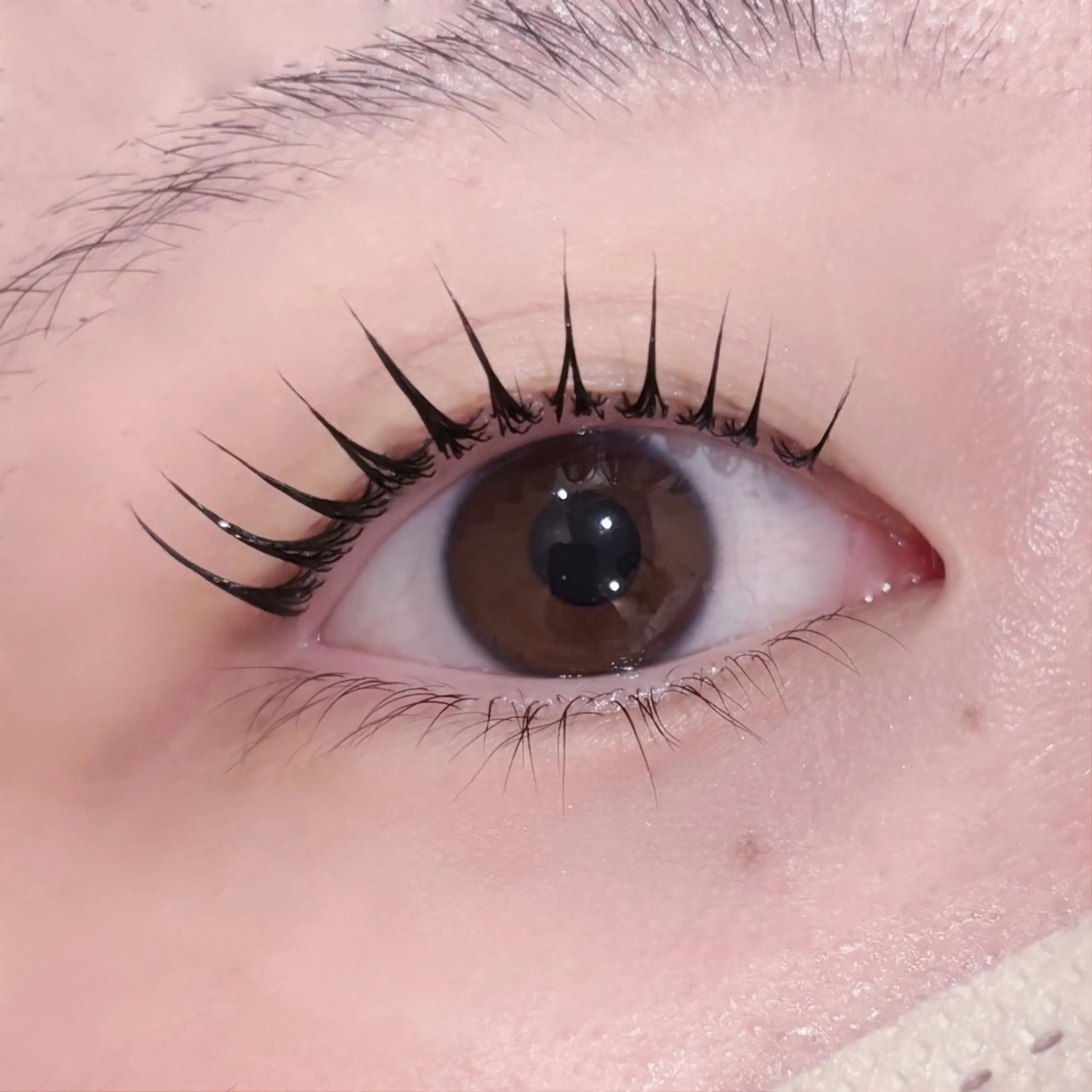 マツエク・マツパ pono大宮東口店 店長🩰AOHA🩰のマツエク・マツパデザイン