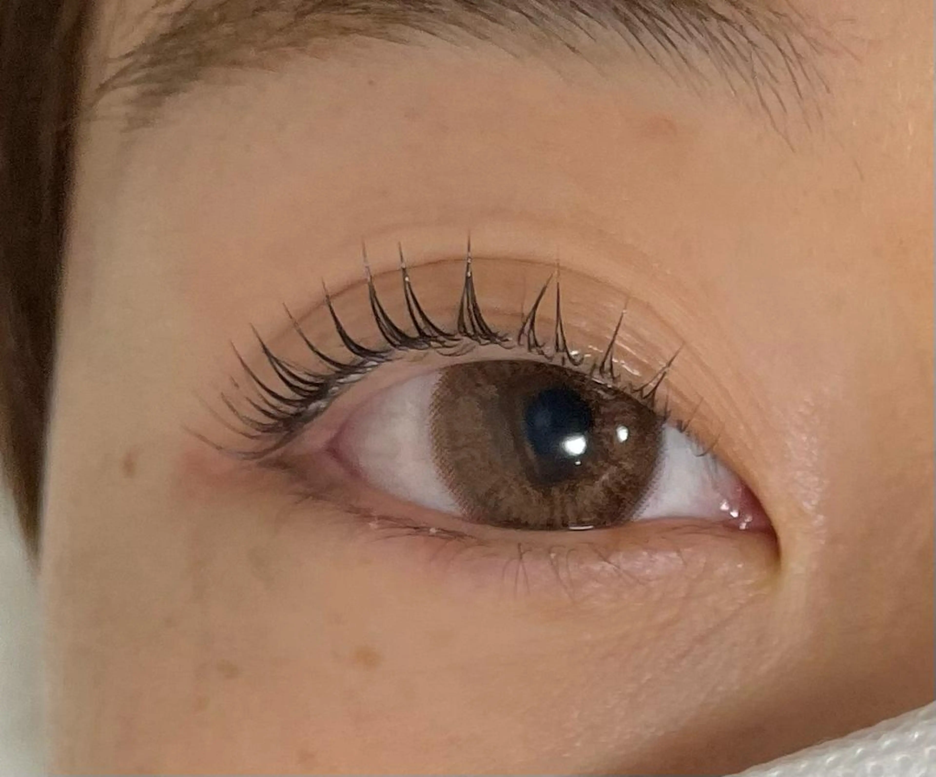 マツエク・マツパ パリジェンヌラッシュリフト マリーテレジア🤍 Suzukiのマツエク・マツパデザイン