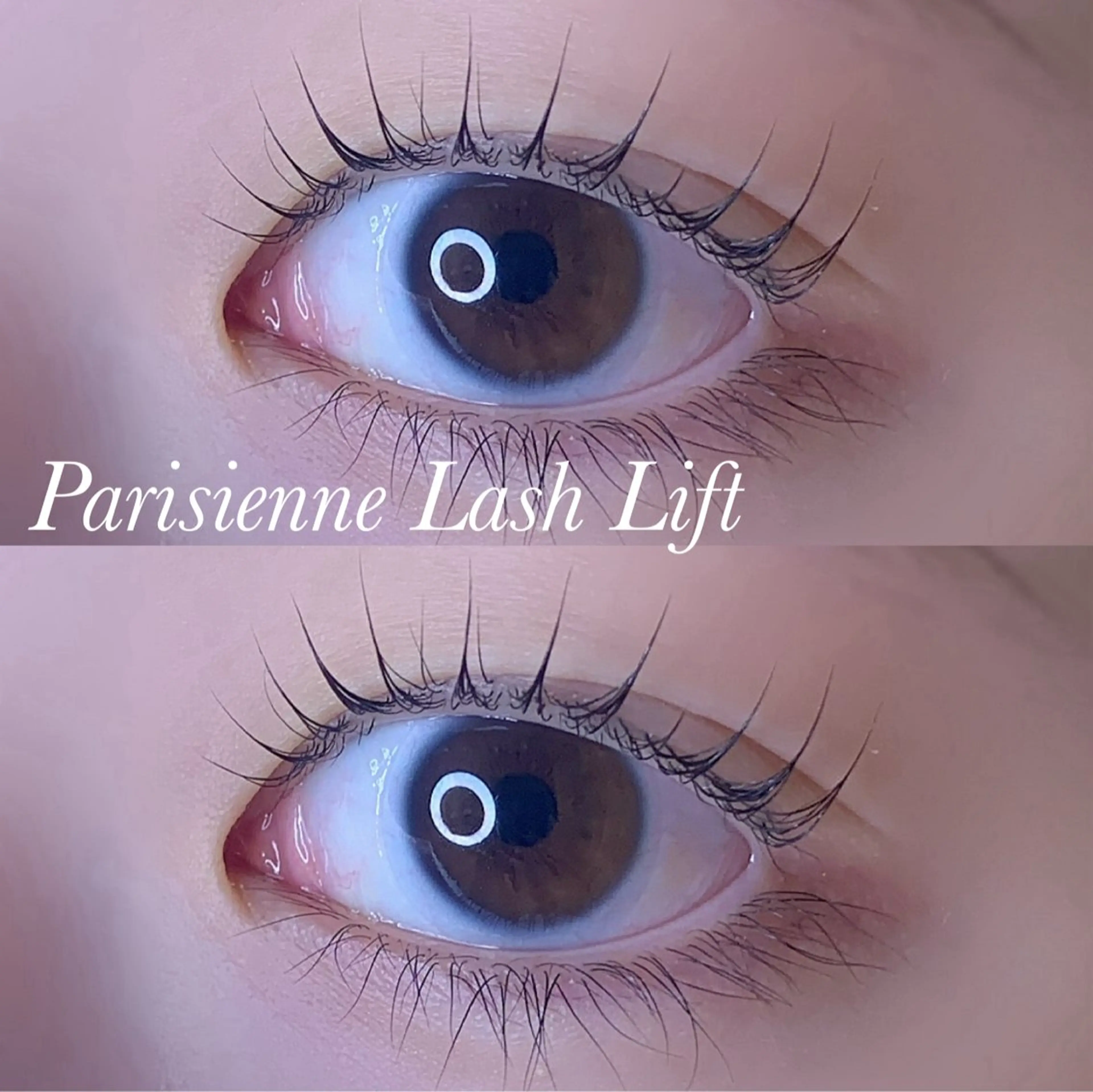 マツエク・マツパ パリジェンヌラッシュリフト マツパ Ayumi.pro 🍆N《4階》のマツエク・マツパデザイン