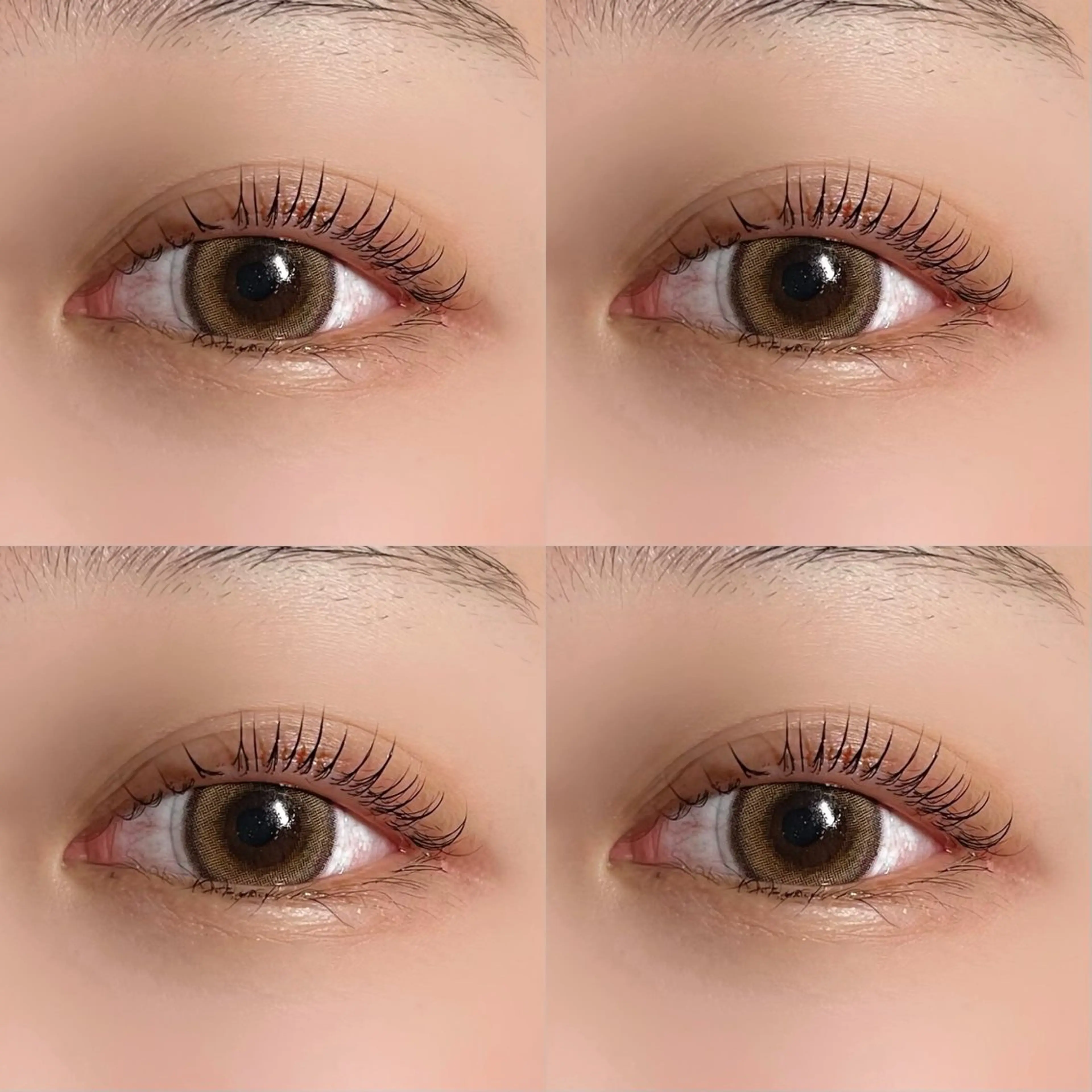 マツエク・マツパ 垢抜け眉WAX専門 ちゅるんまつげ|鎌倉の眉毛・アイブロウイメージ