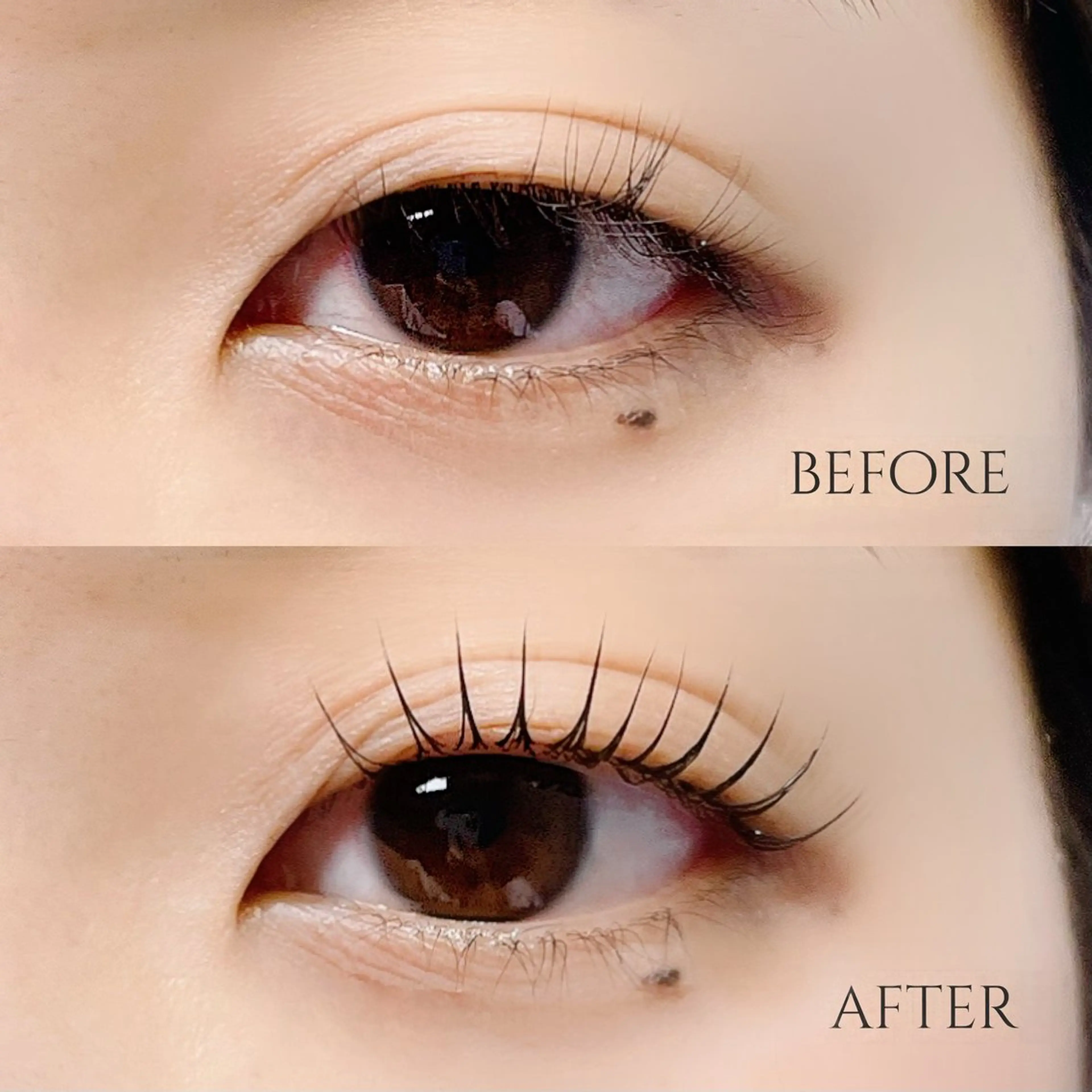 マツエク・マツパ パリジェンヌラッシュリフト MOMOE 恵比寿 まつげパーマのマツエク・マツパデザイン