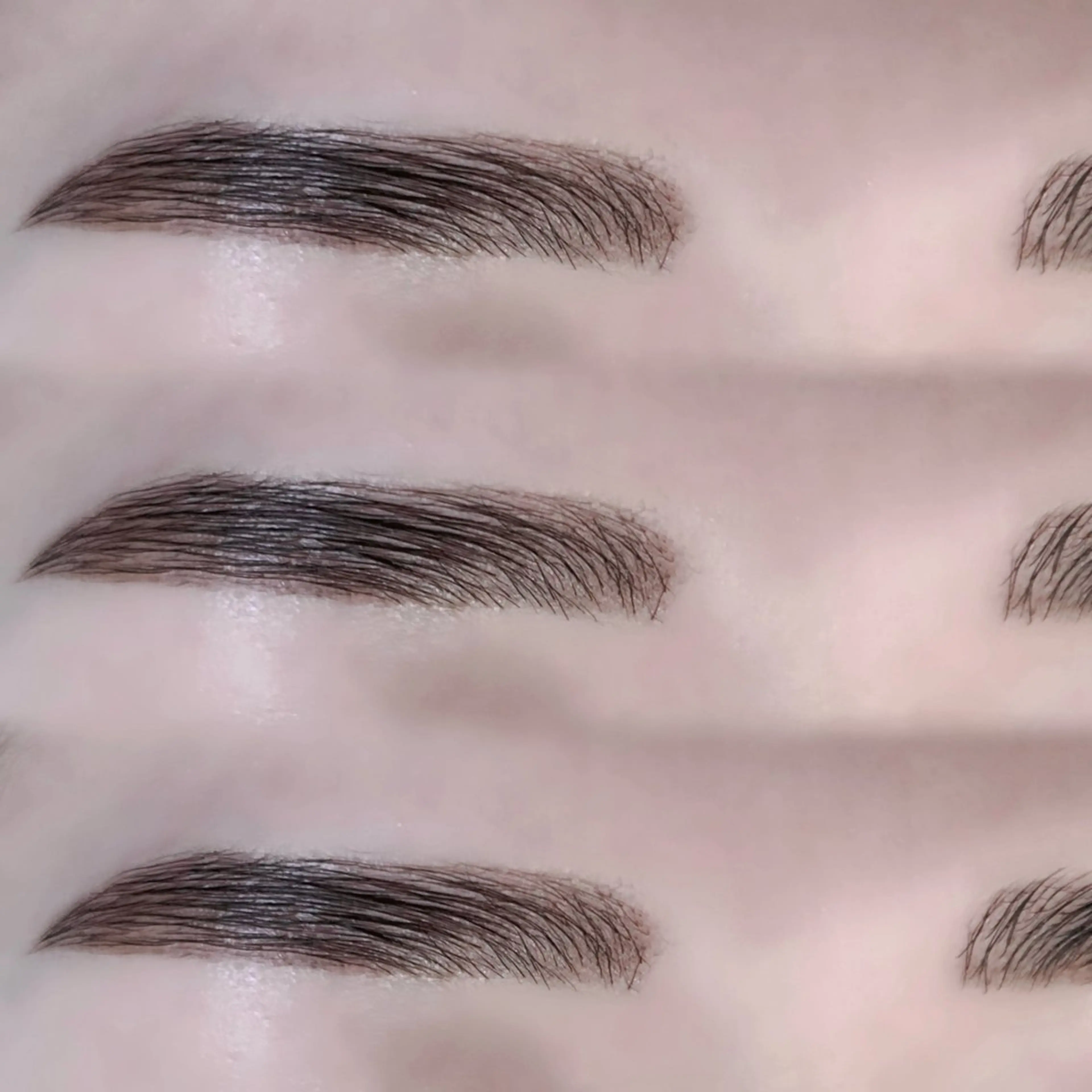 ✨HBL 〈ハリウッドブロウリフト〉✨￥7,500→￥5,000【ミニモ限定特別価格】の写真