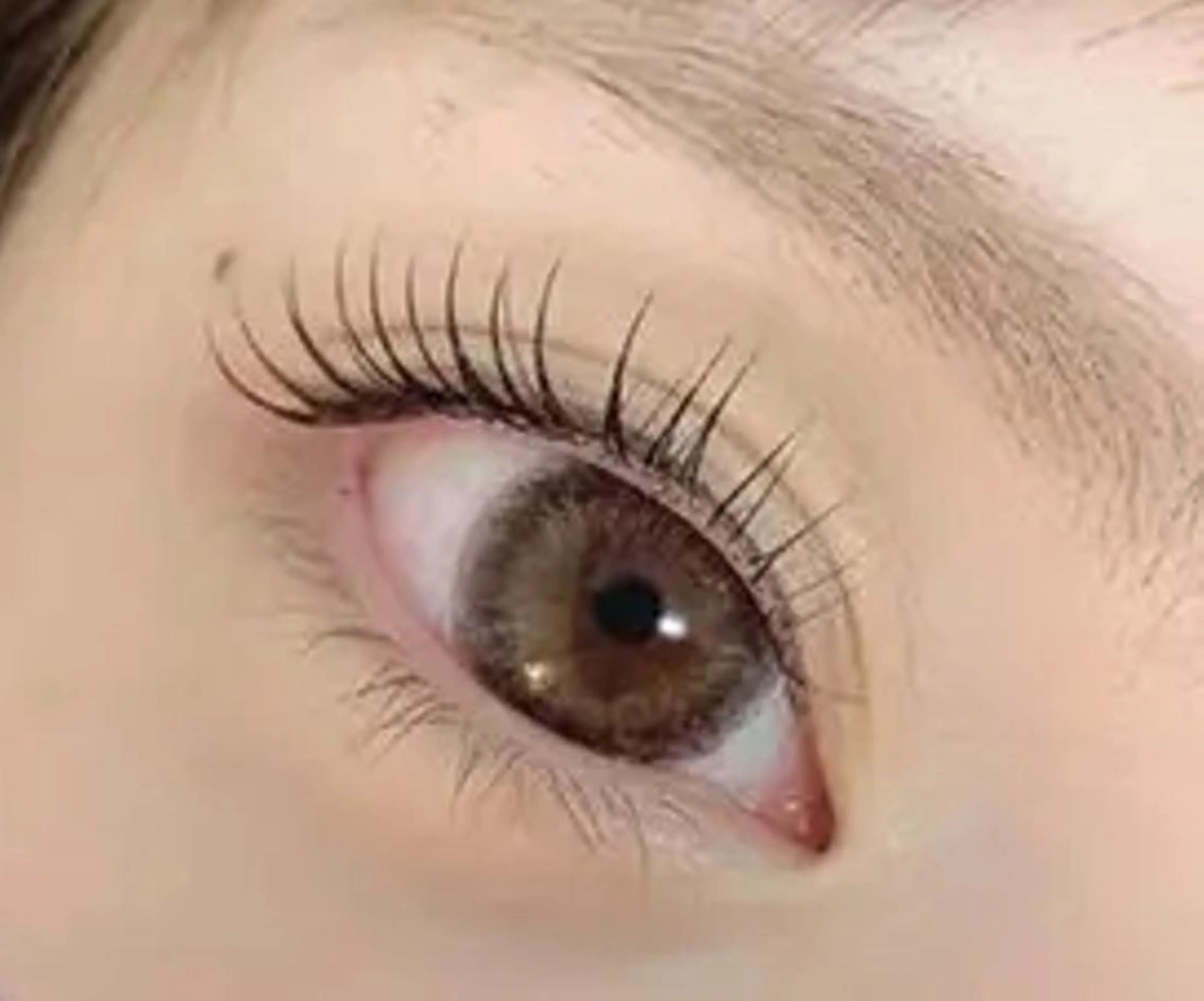 ミニモ学割！平日9時～16時限定！芸能人御用達！💚次世代まつ毛パーマ ４２００円！💚アイシャンプー＆コーティング付きの写真