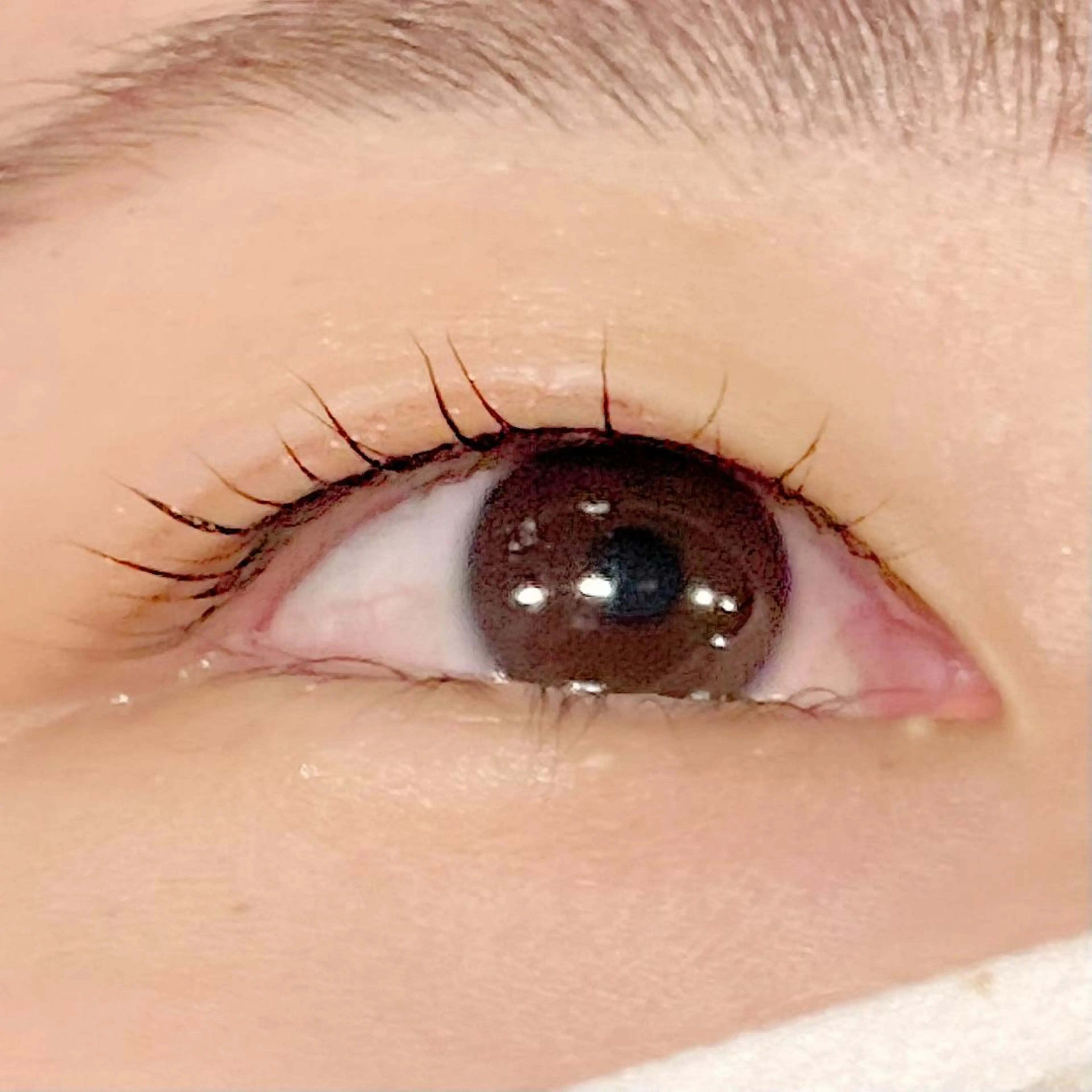 マツエク・マツパ ナオエ ハルカのマツエク・マツパデザイン