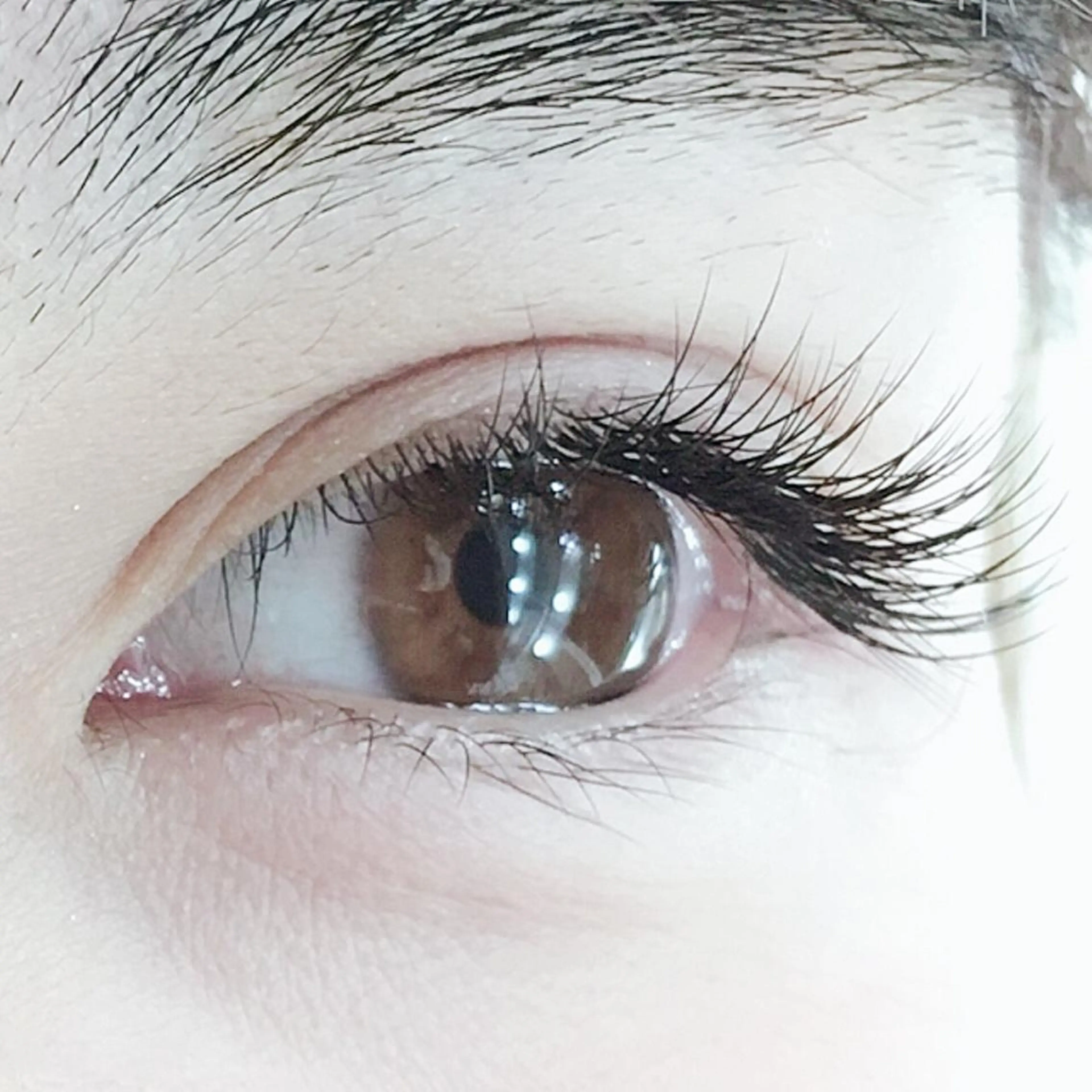 【ミニモ限定価格✨】フラットラッシュ120本6800→5500／オフ込み／コーティング仕上げの写真