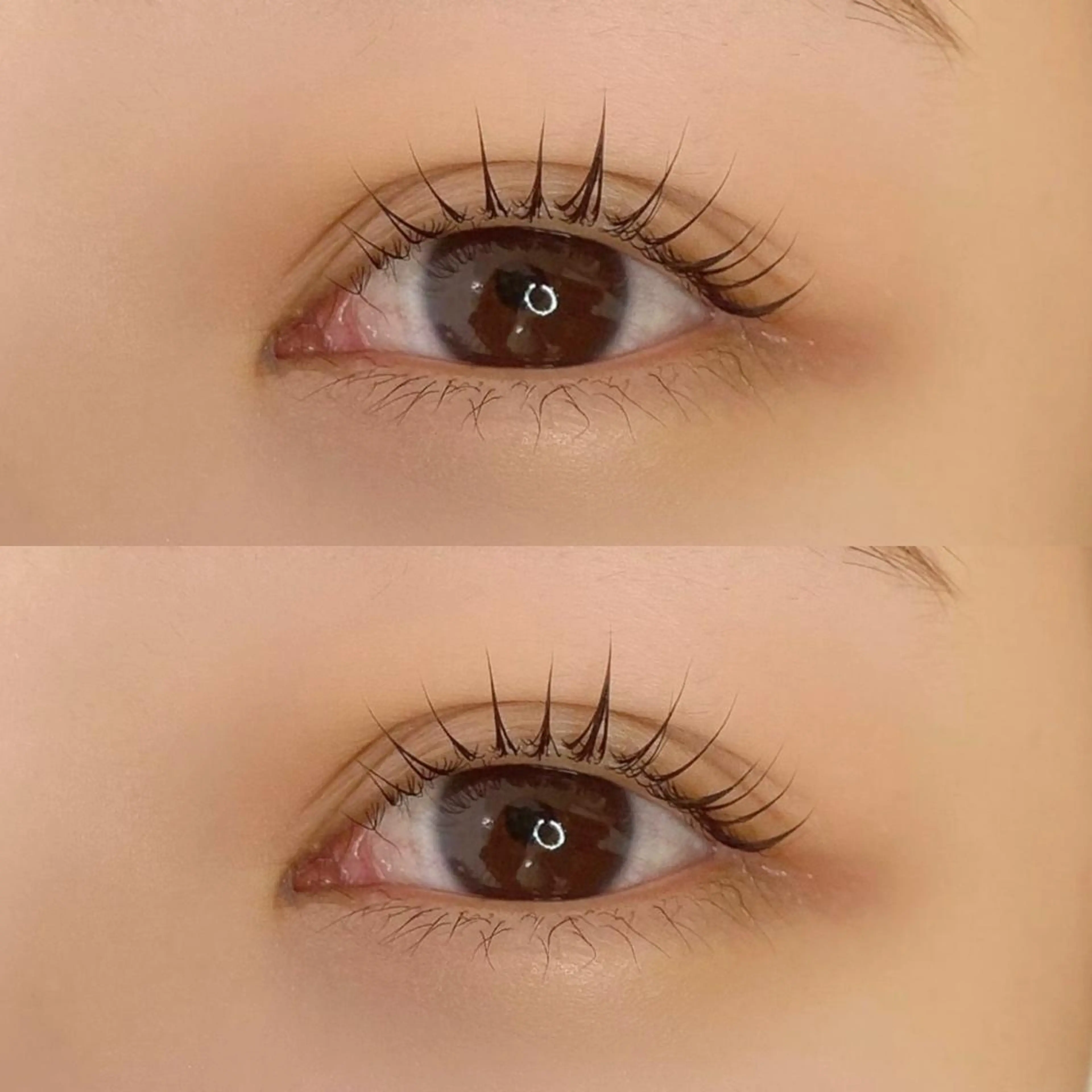 マツエク・マツパ マツパ muse所属・Suzu .muse 【葛城店】のマツエク・マツパデザイン