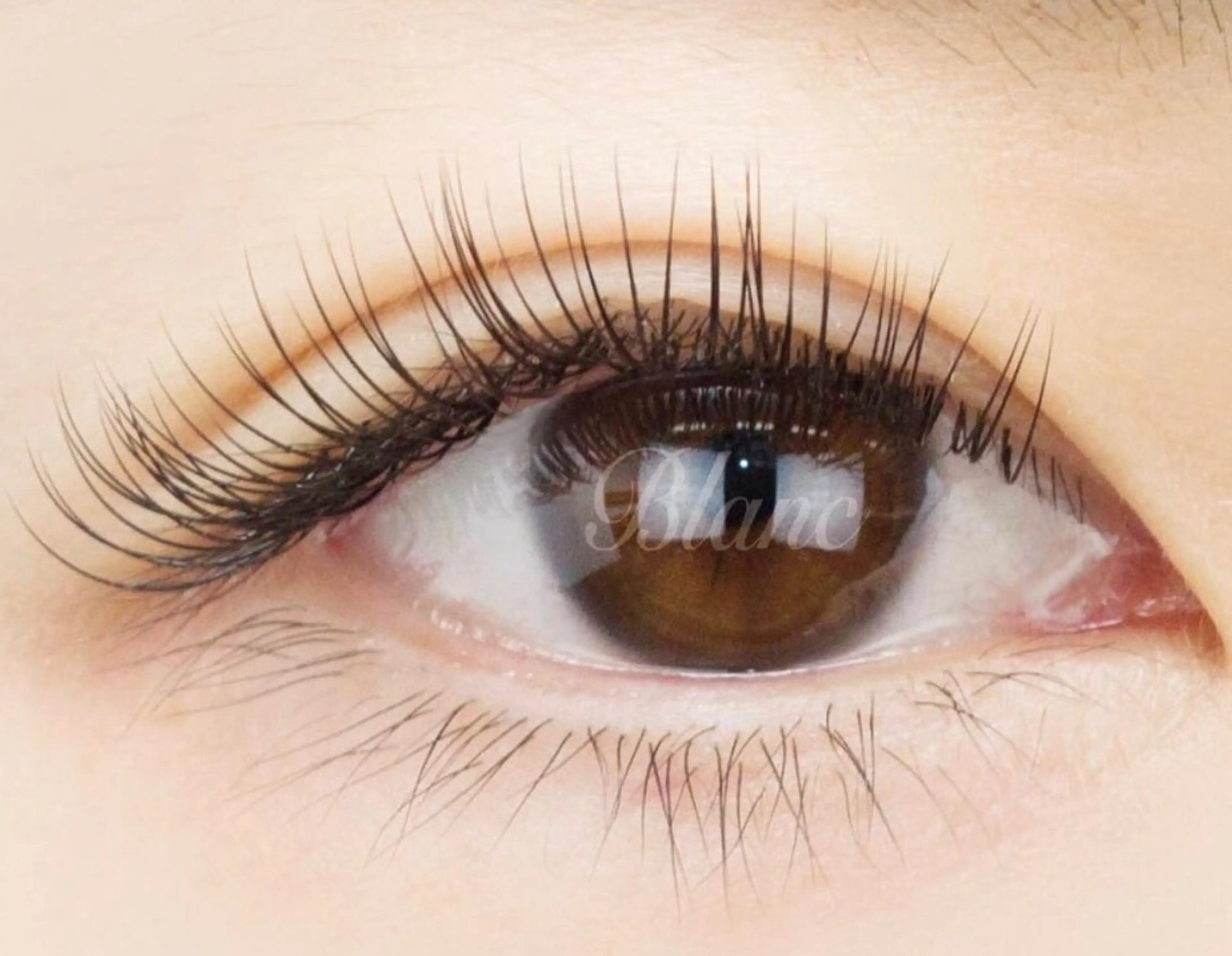 マツエク・マツパ Eyelash Salon Blanc～まつげエクステと眉の専門美容室～ イオンモール出雲店所属・水師 さくらのマツエク・マツパデザイン