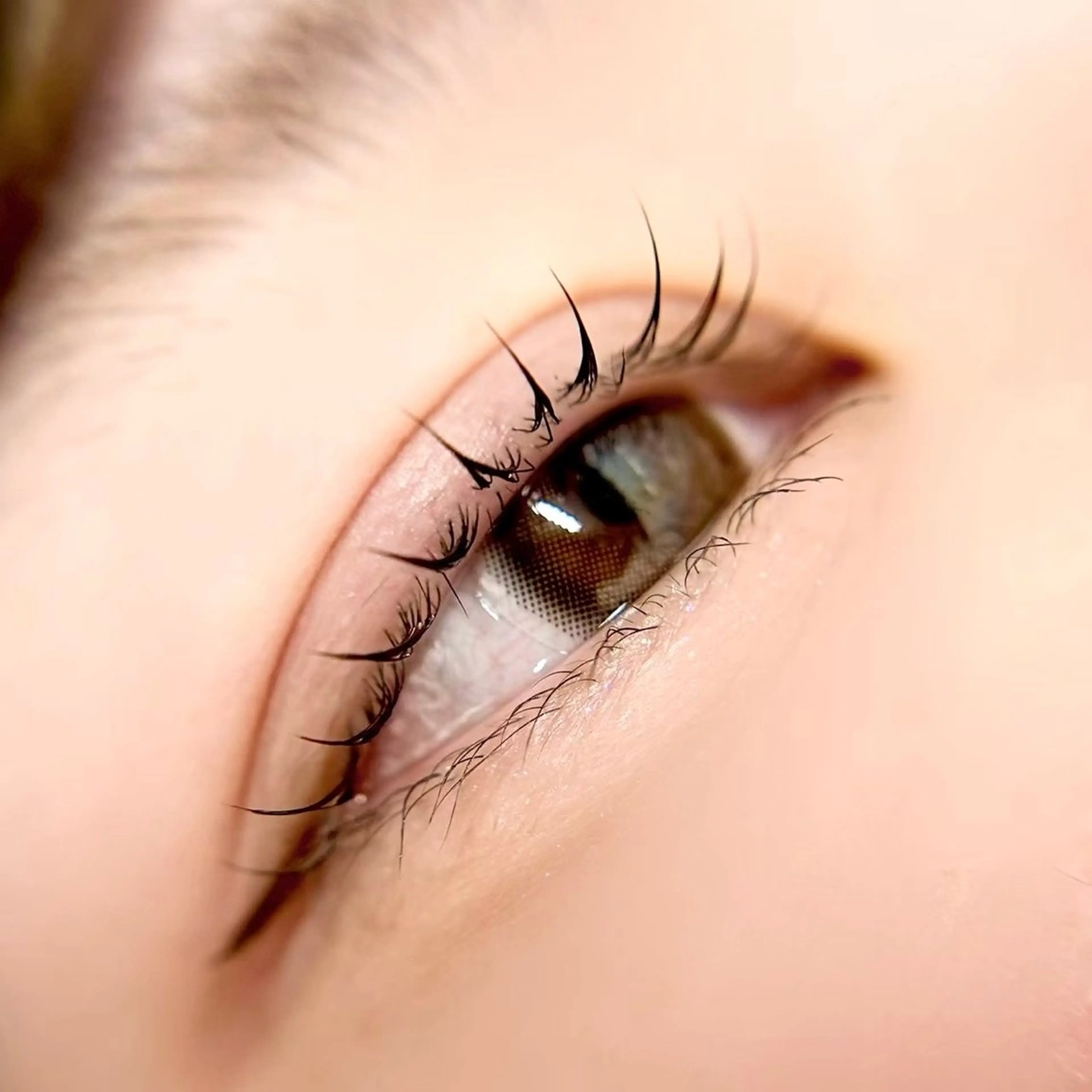 マツエク・マツパ iolo_ uedaの眉毛・アイブロウイメージ