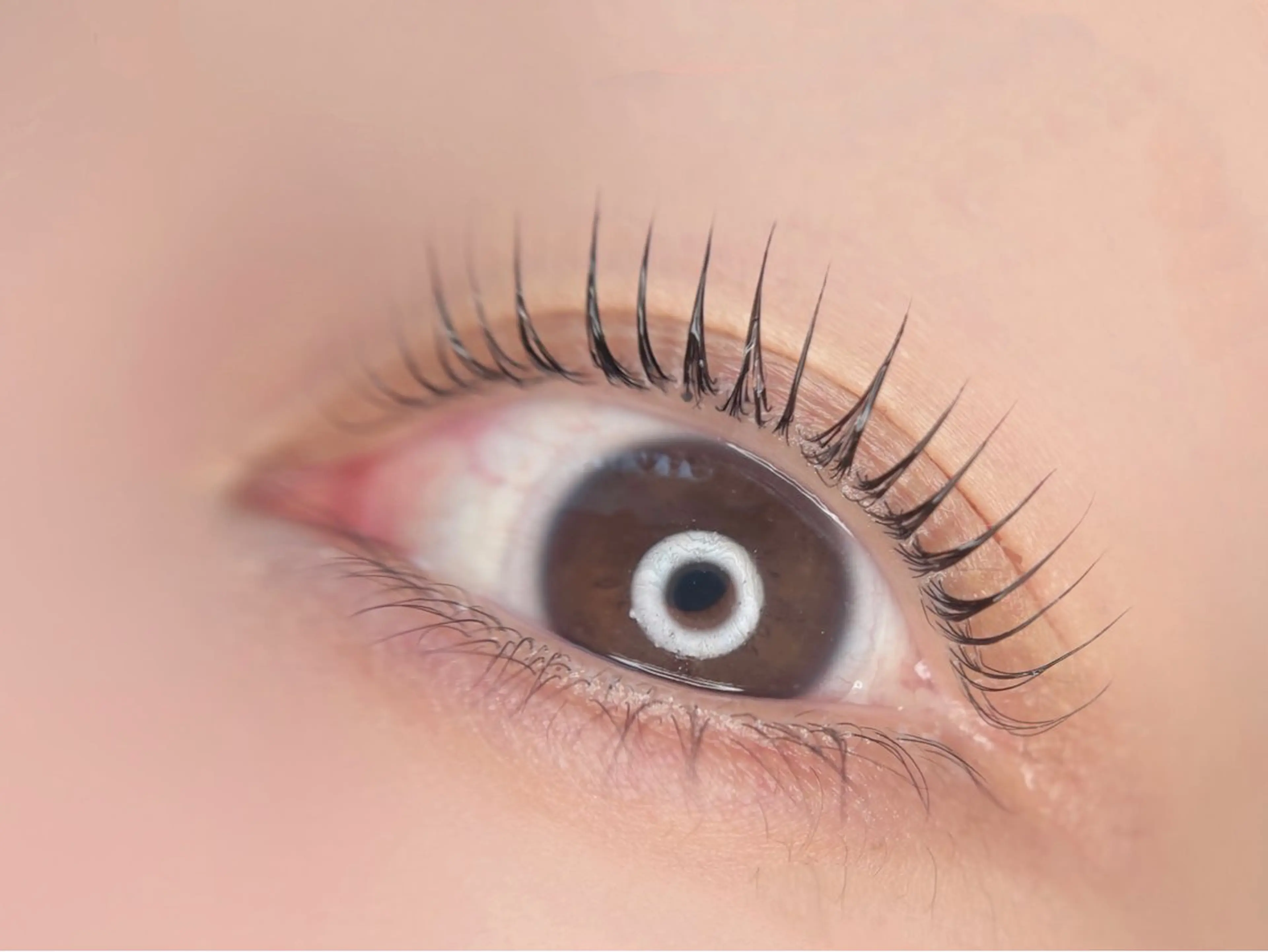 マツエク・マツパ パリジェンヌラッシュリフト マツパ 🤍南流山MaaZ staff1⃣🤍のマツエク・マツパデザイン