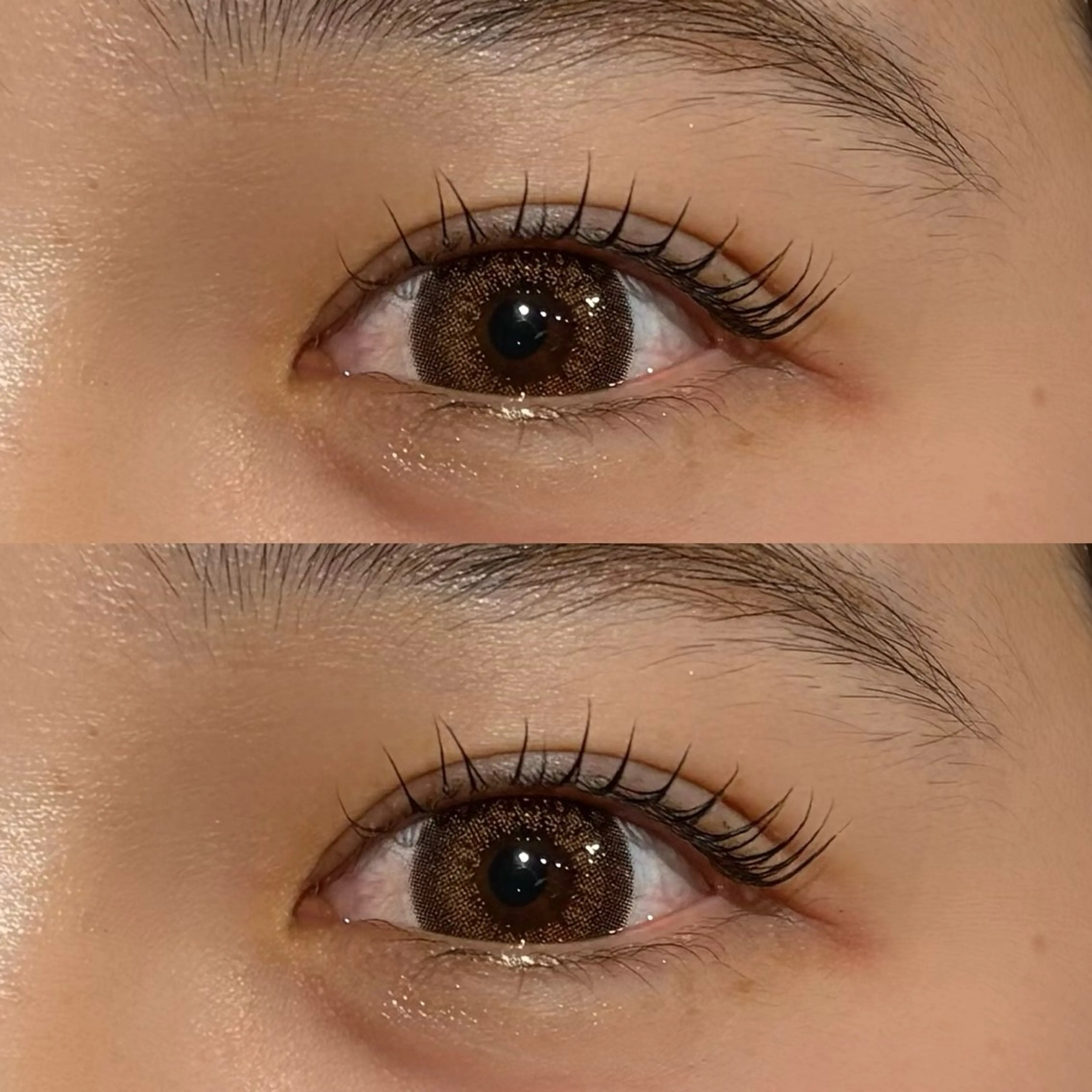 まつげパーマ🎀コーティング付き❕の写真